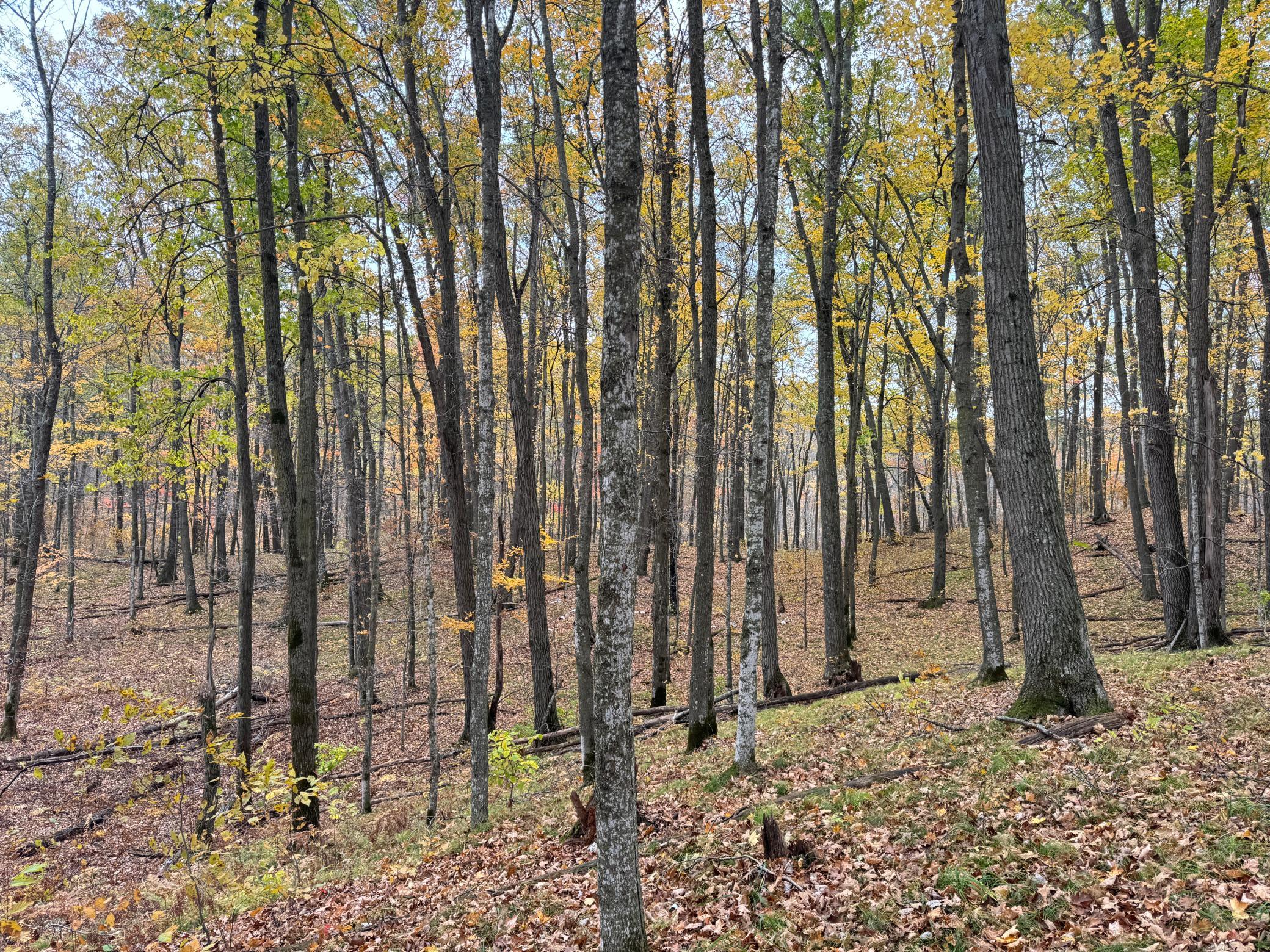 main property photo 51