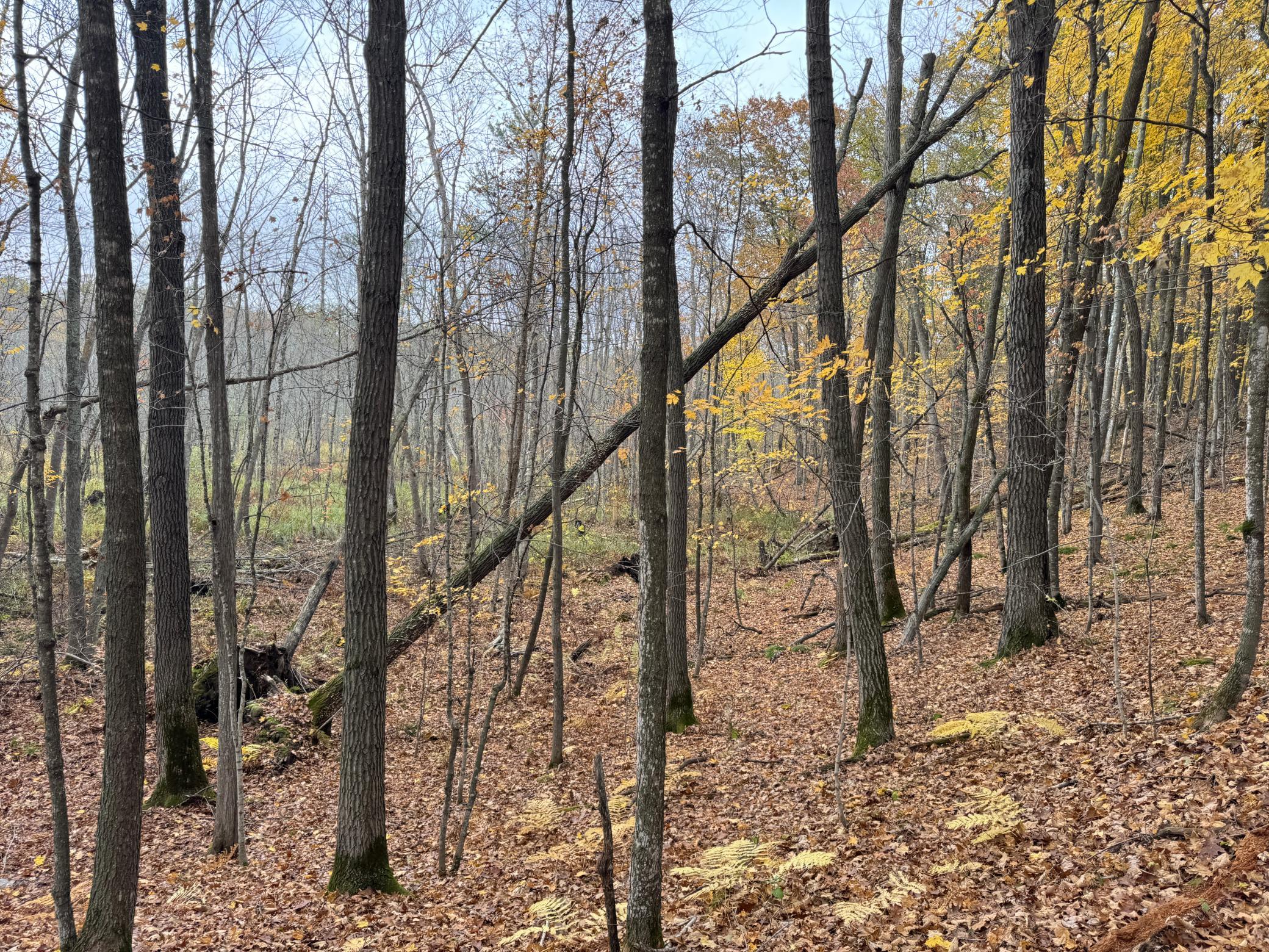 main property photo 56