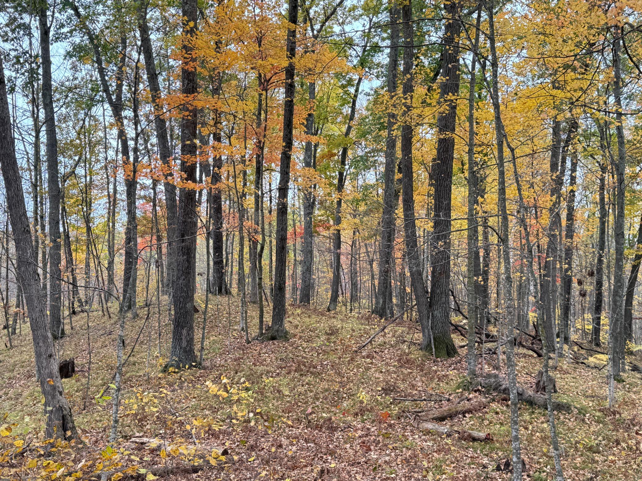 main property photo 58