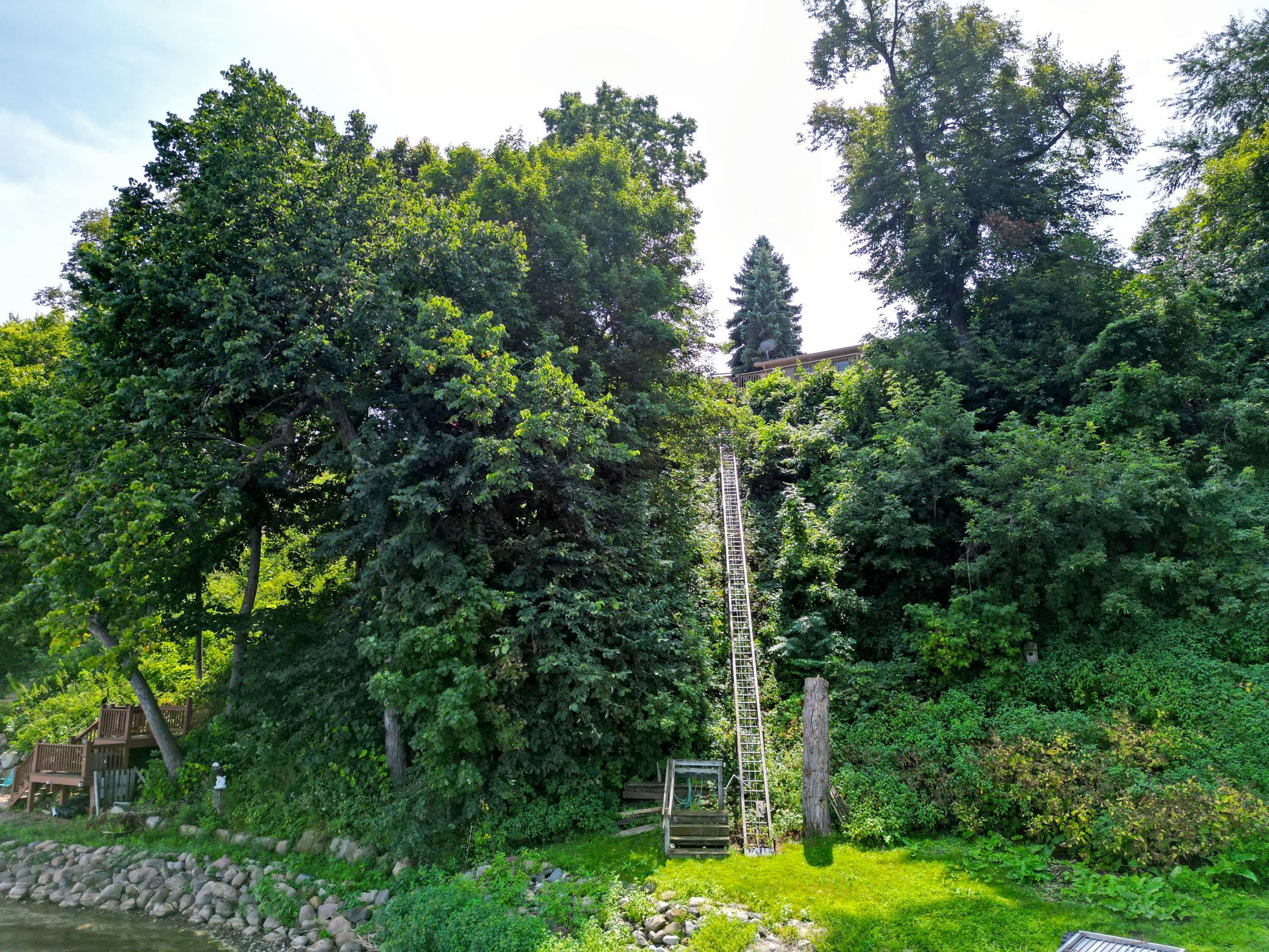 main property photo 55