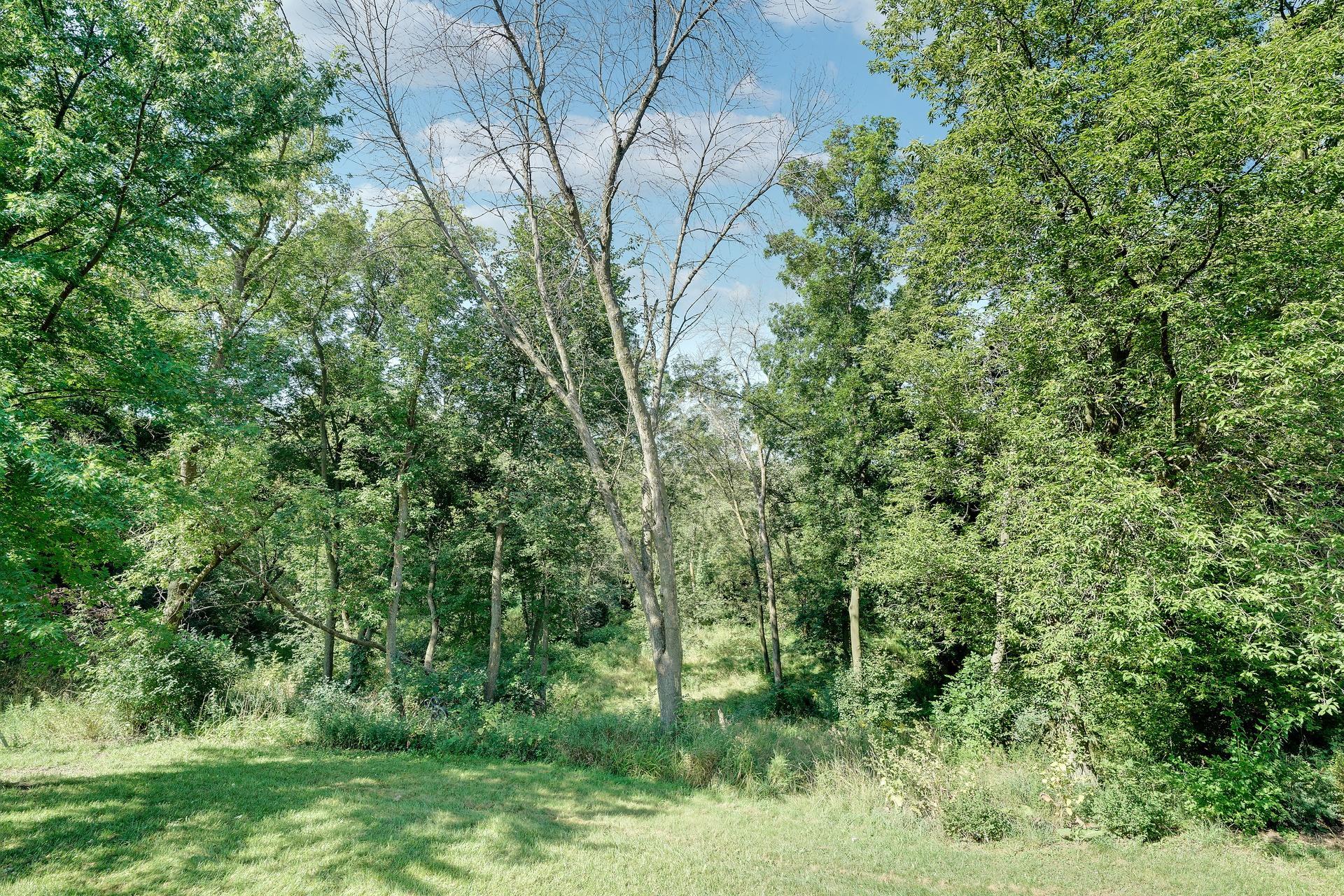 main property photo 57