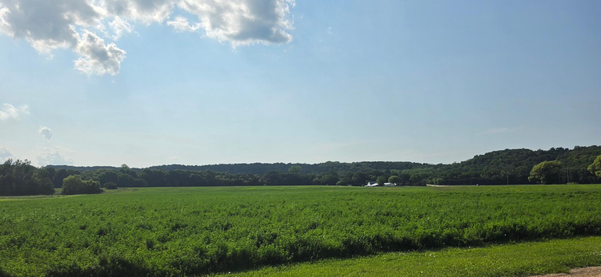 main property photo 7