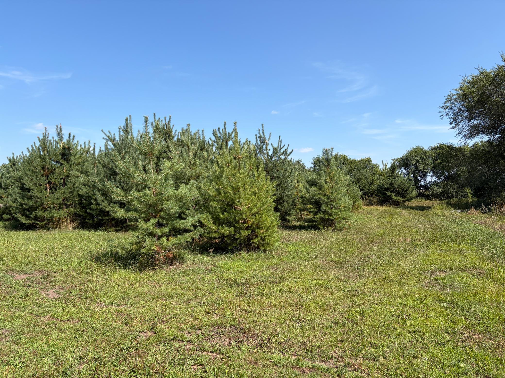 main property photo 50