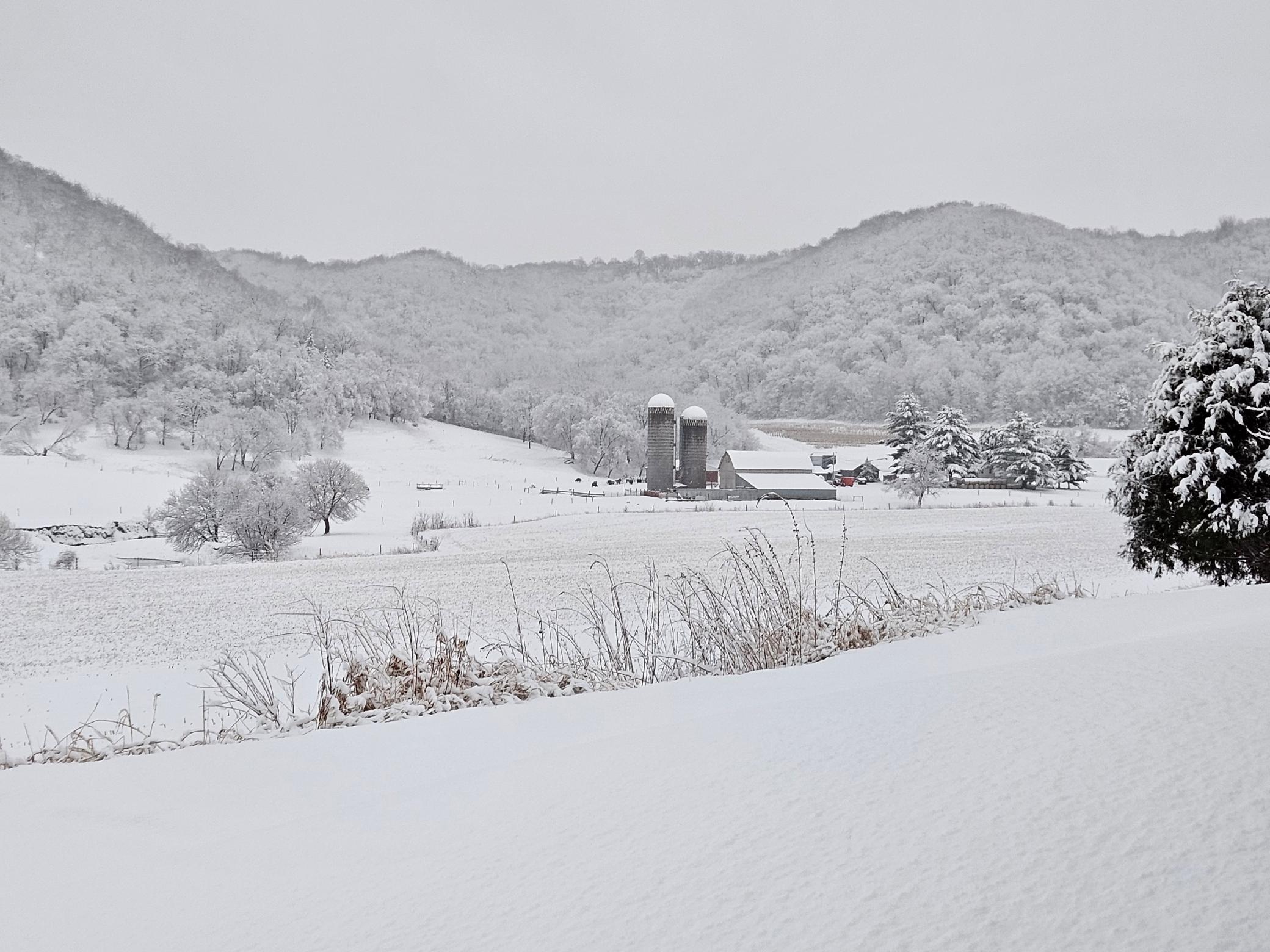 main property photo 36