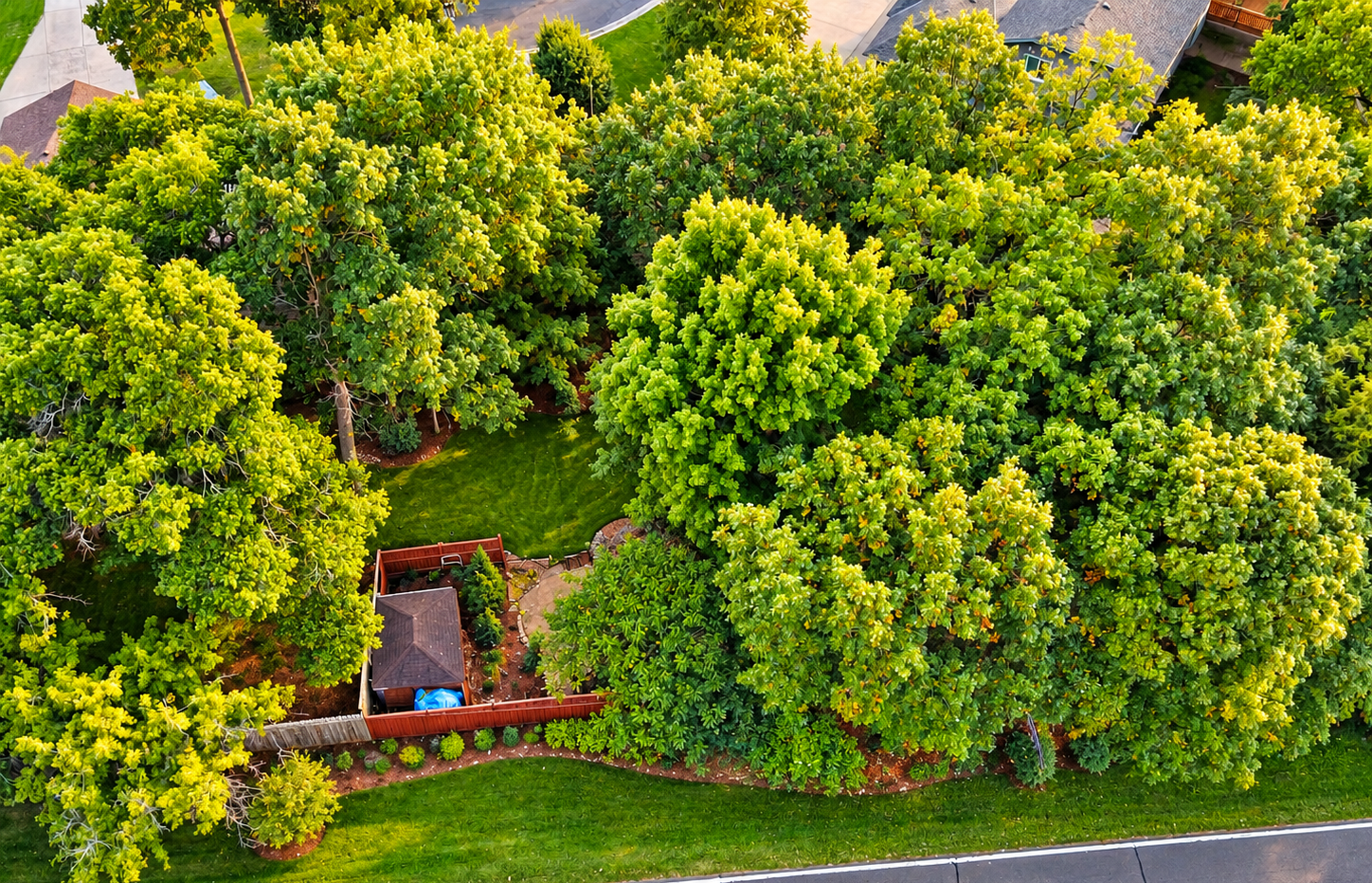 main property photo 53