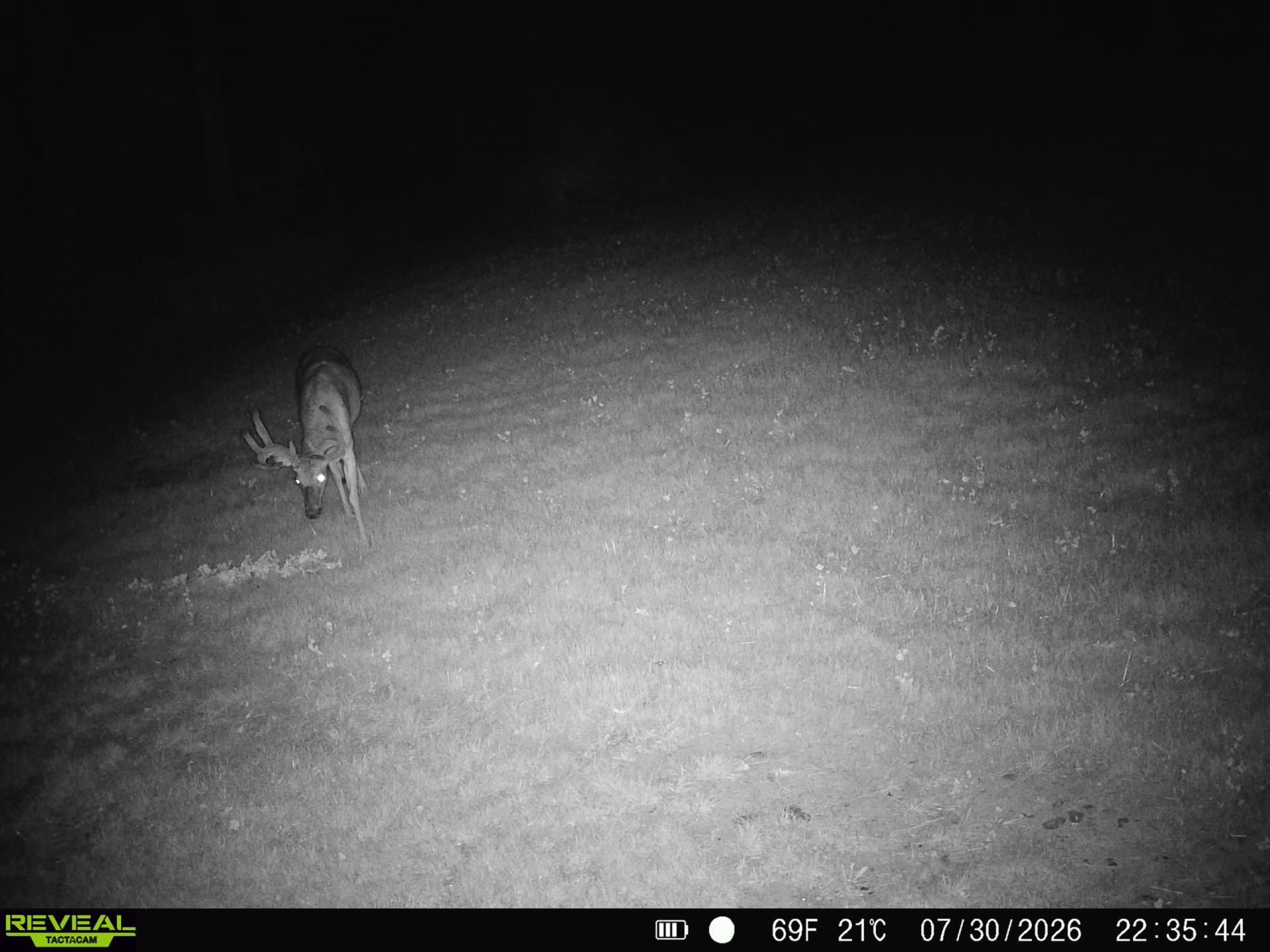main property photo 17