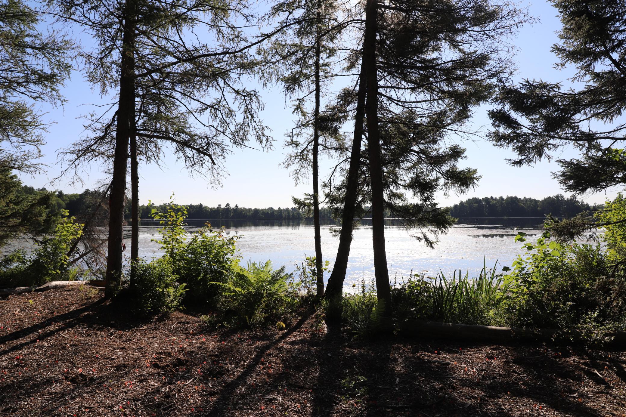 main property photo 21