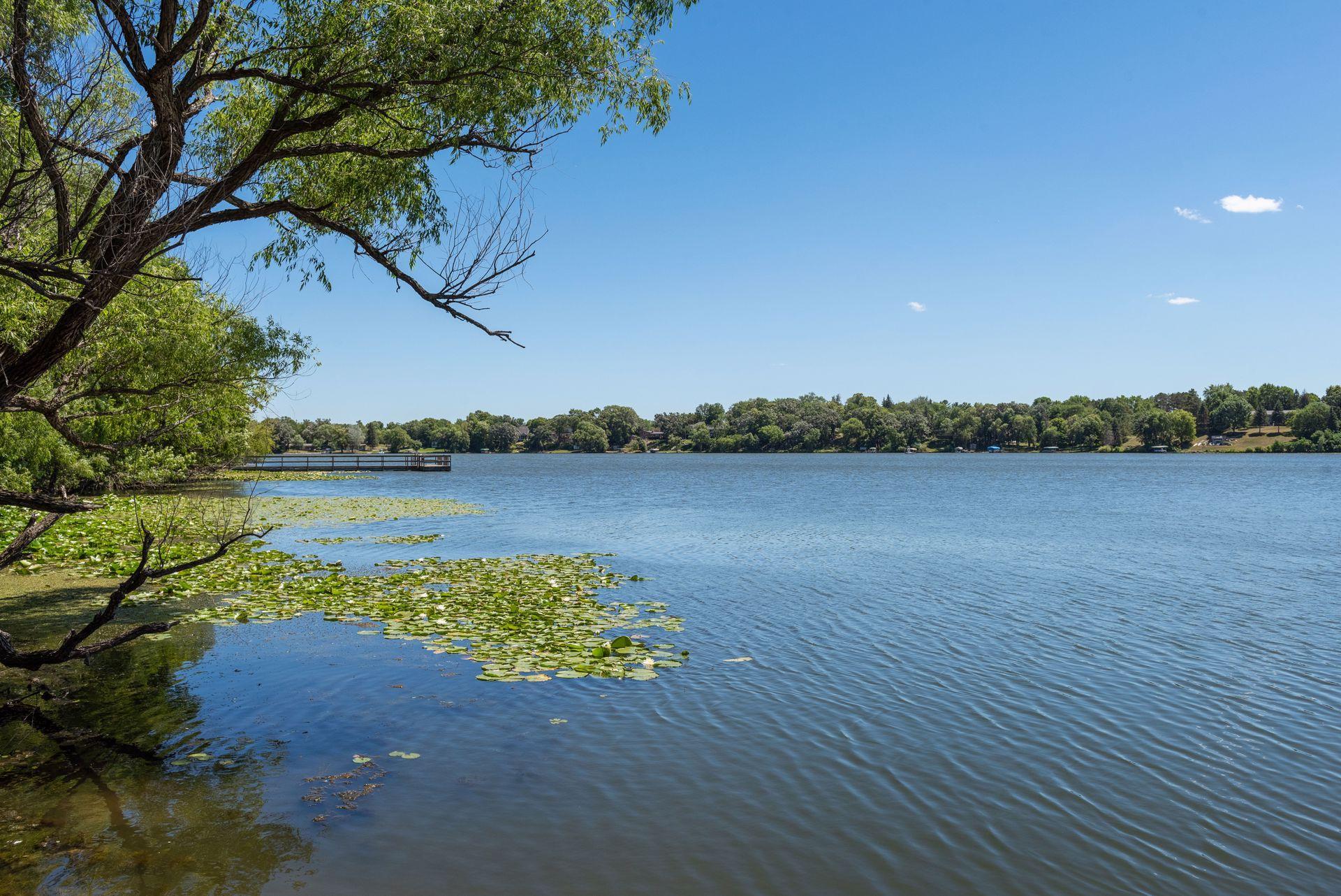 main property photo 86