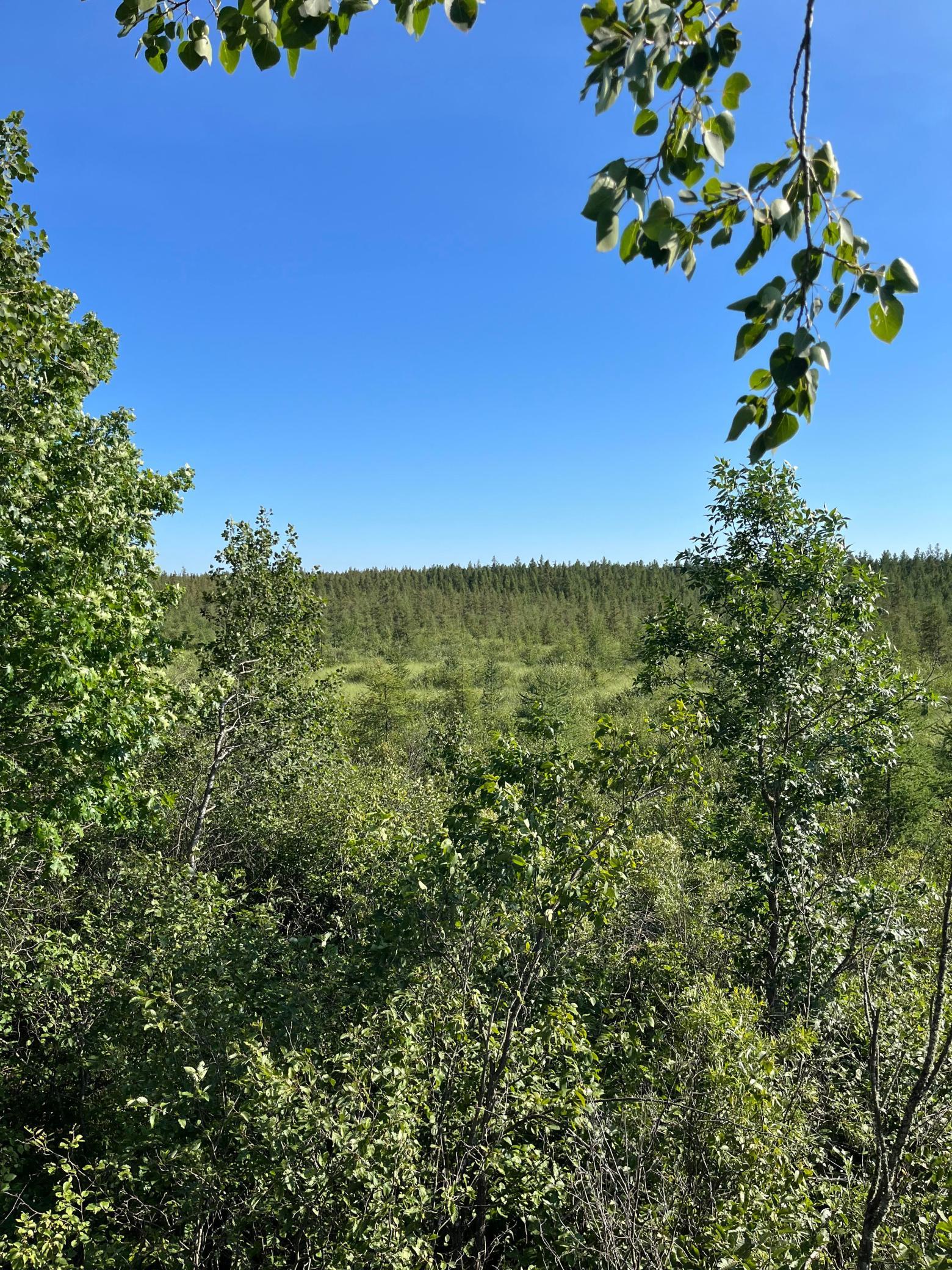 main property photo 12