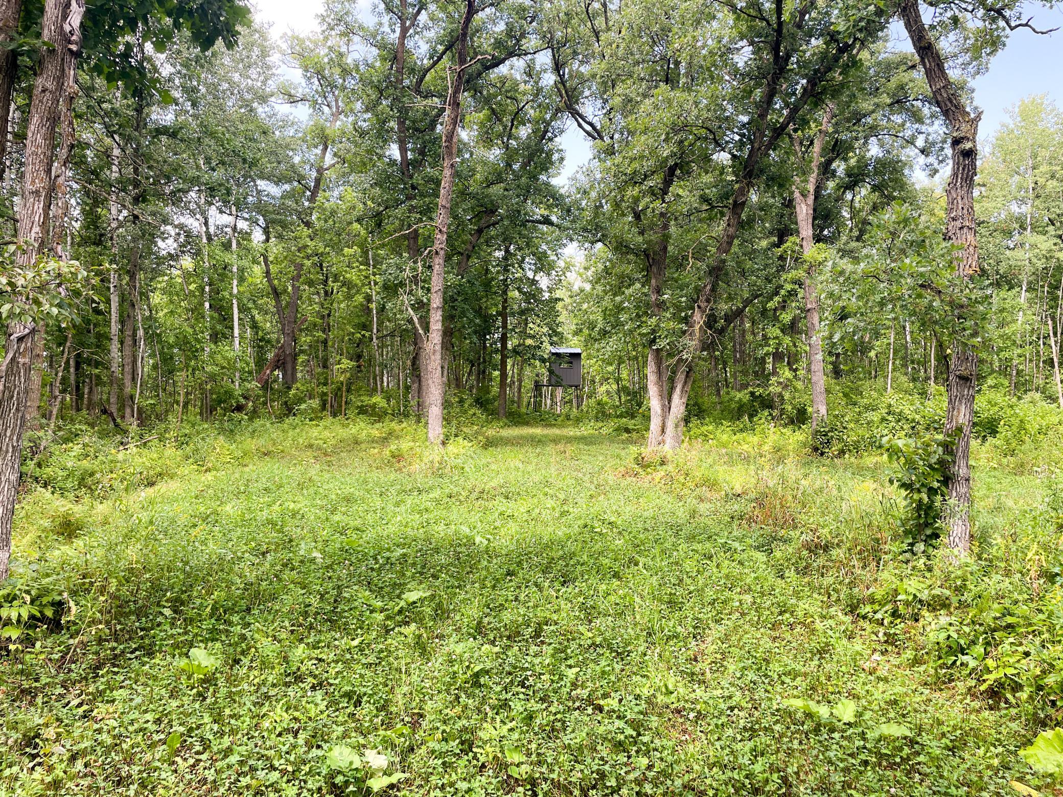 main property photo 44