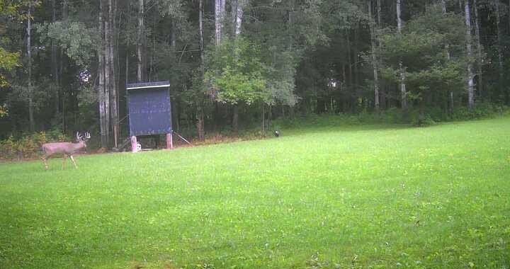 main property photo 35