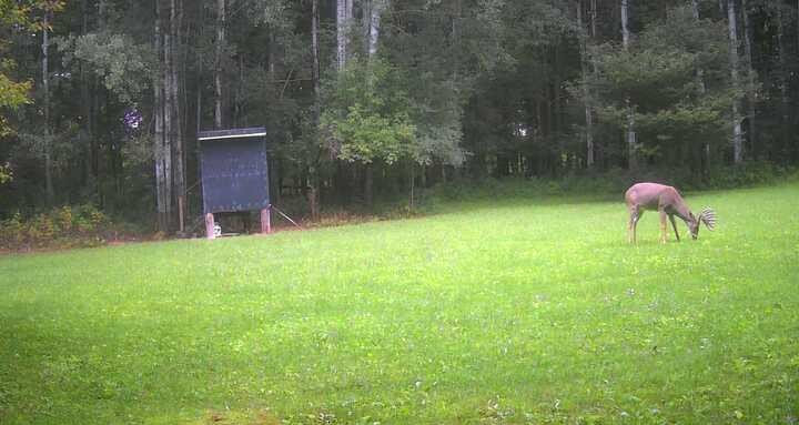 main property photo 44