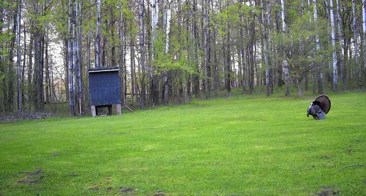 main property photo 53