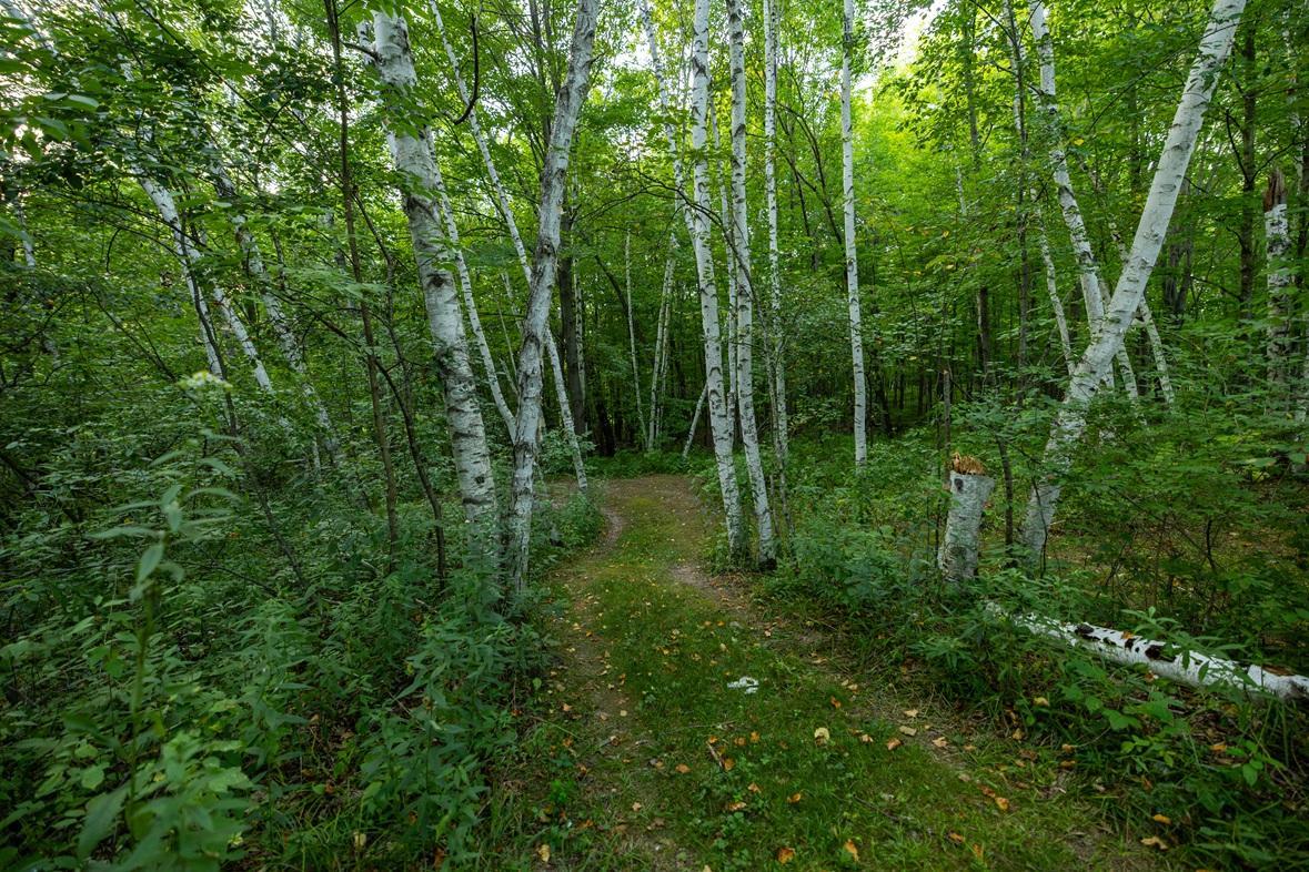 main property photo 62