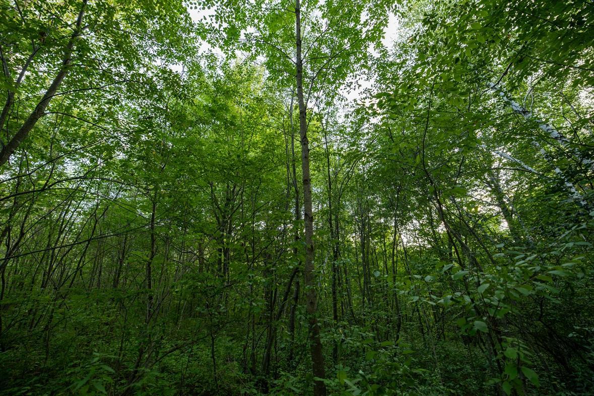 main property photo 74