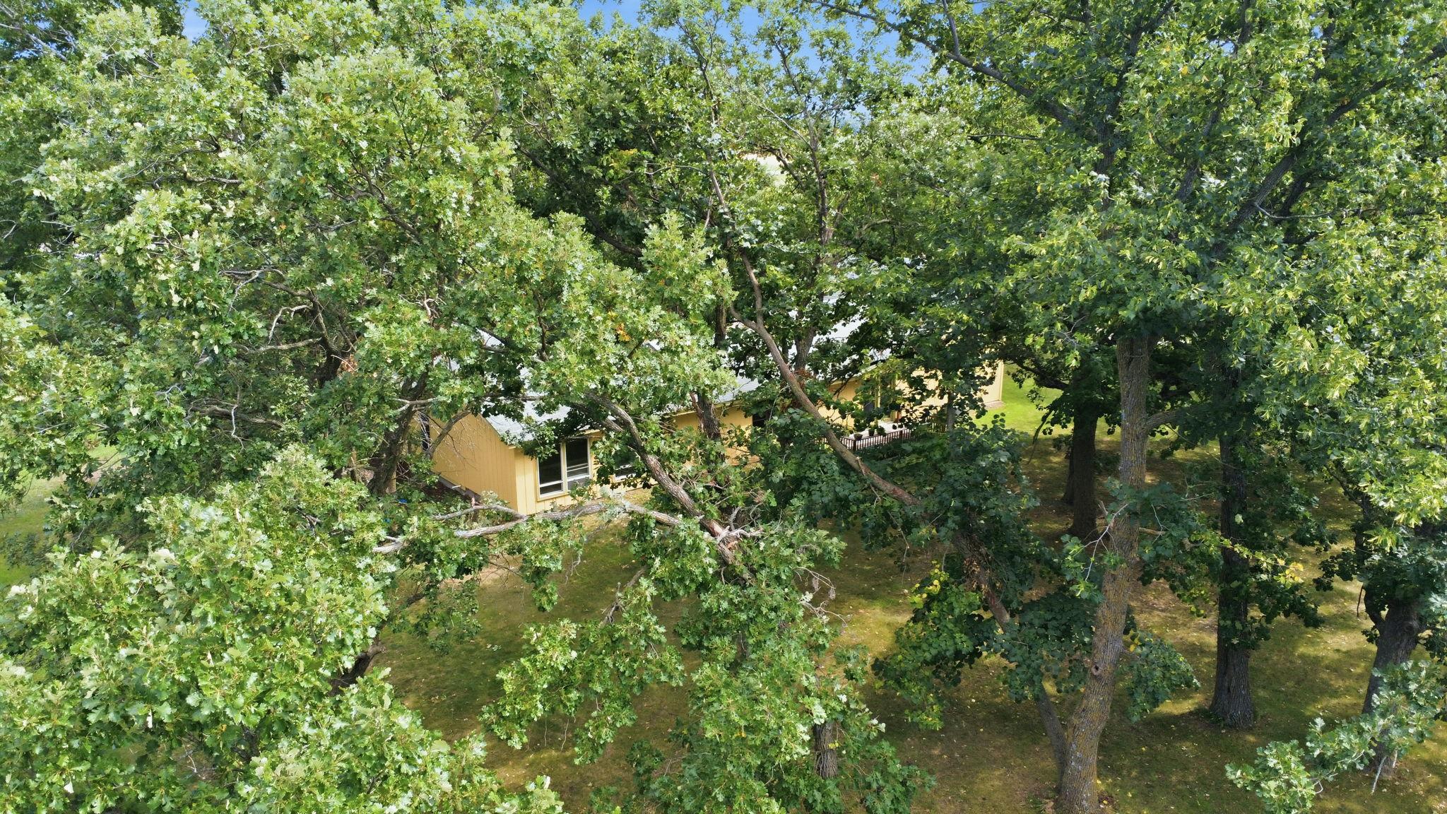 main property photo 42