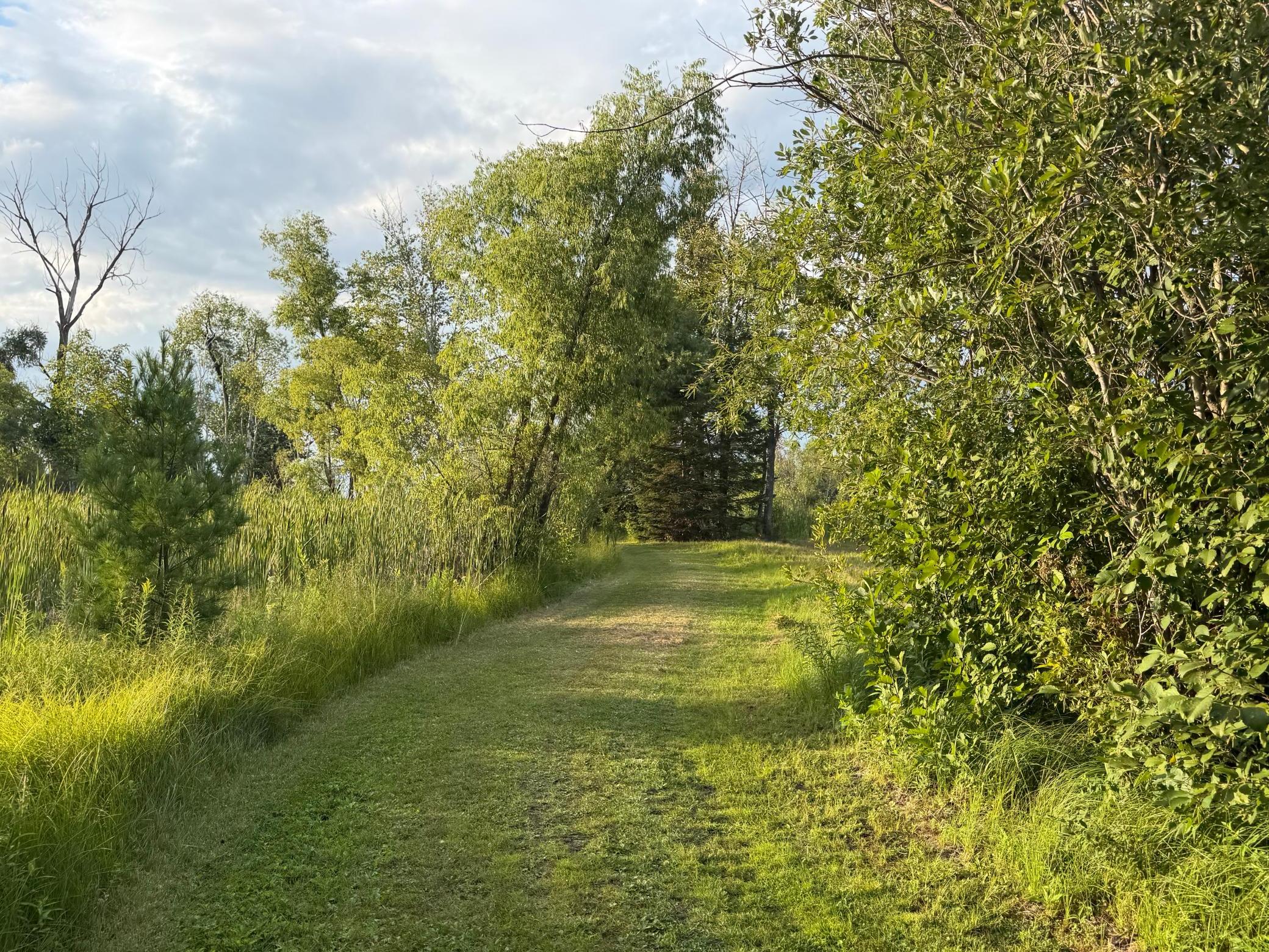 main property photo 29