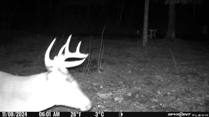 main property photo 46
