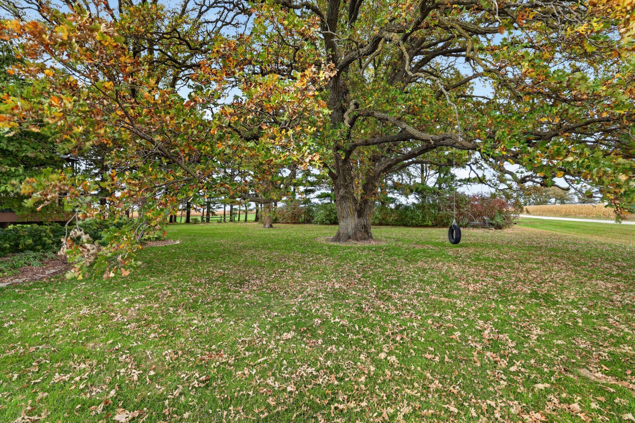 main property photo 121
