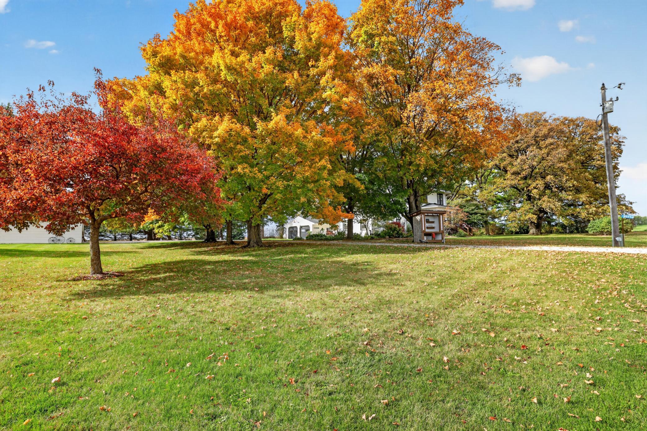main property photo 137