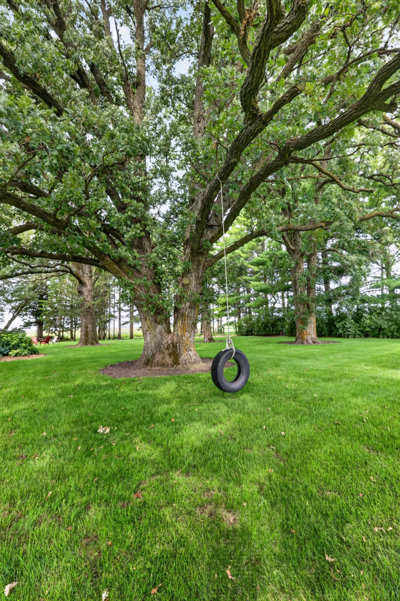 main property photo 97