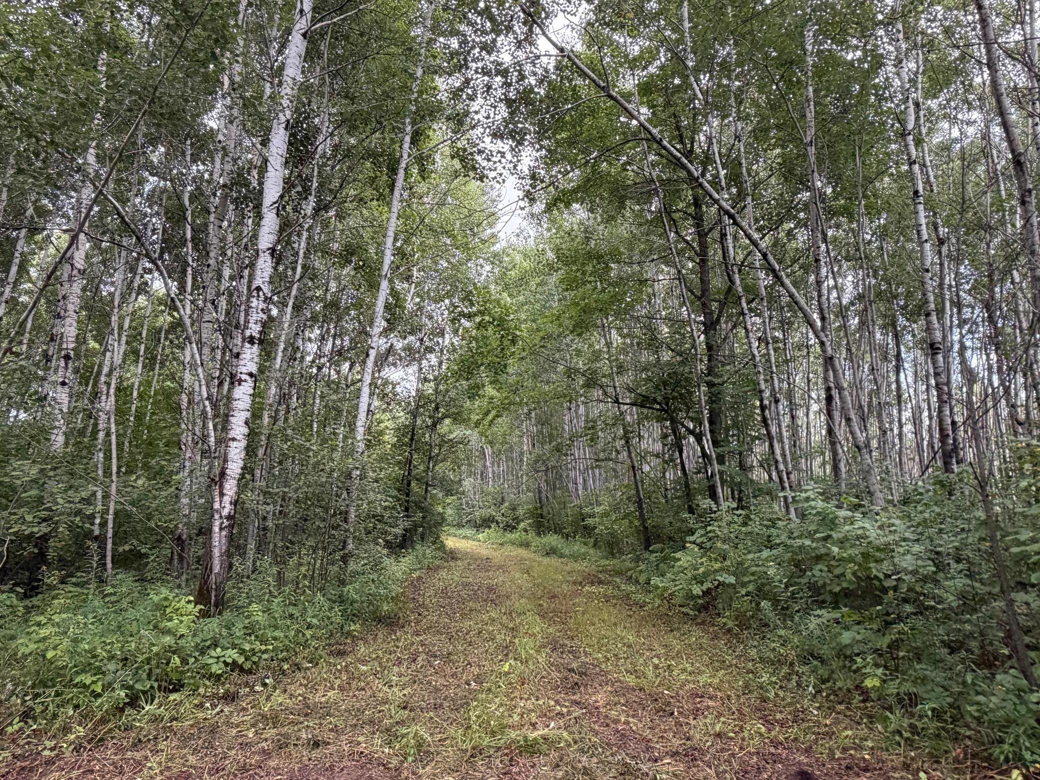 main property photo 0