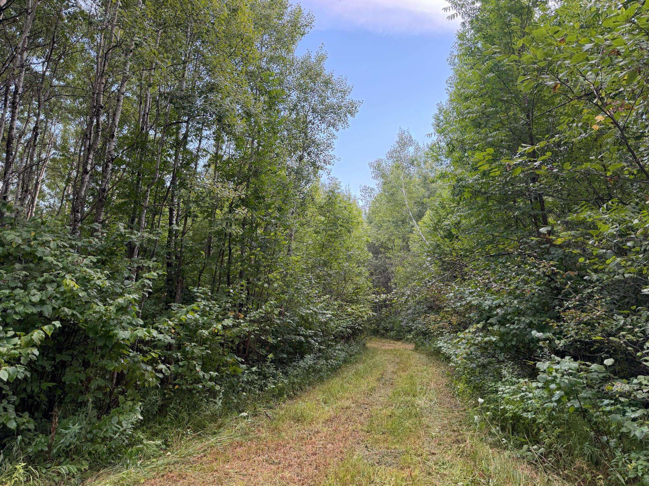 main property photo 18