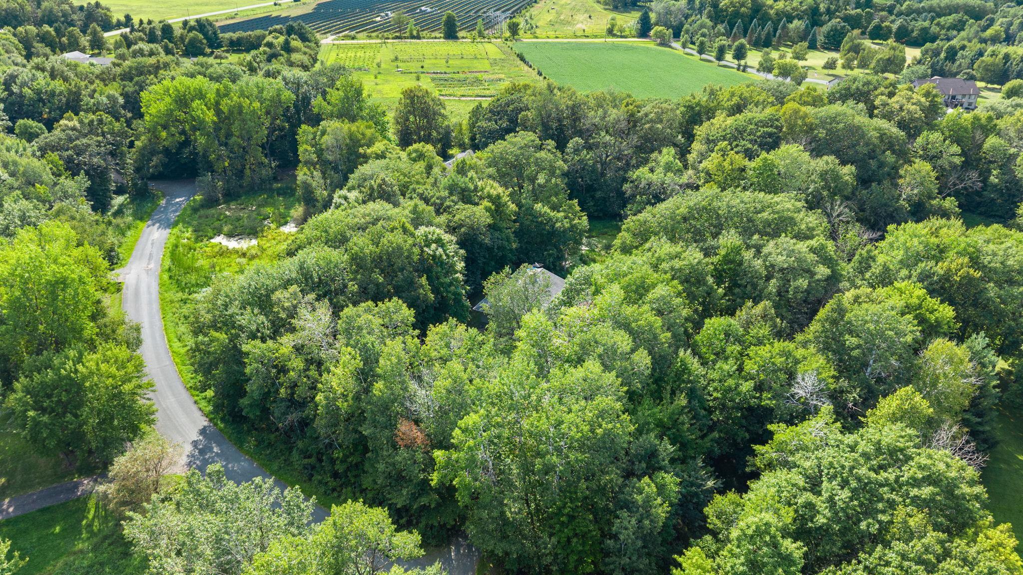 main property photo 45