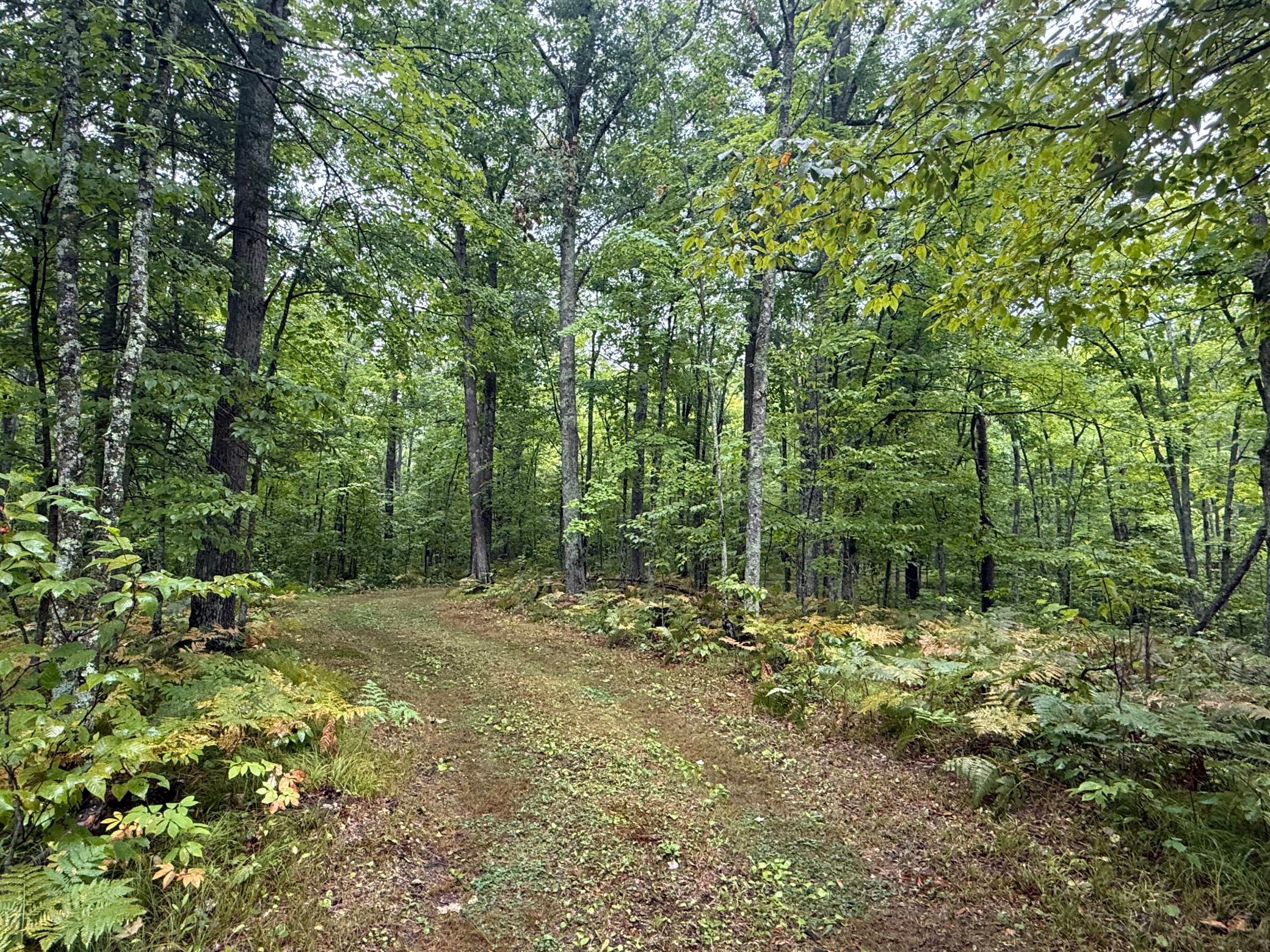 main property photo 50