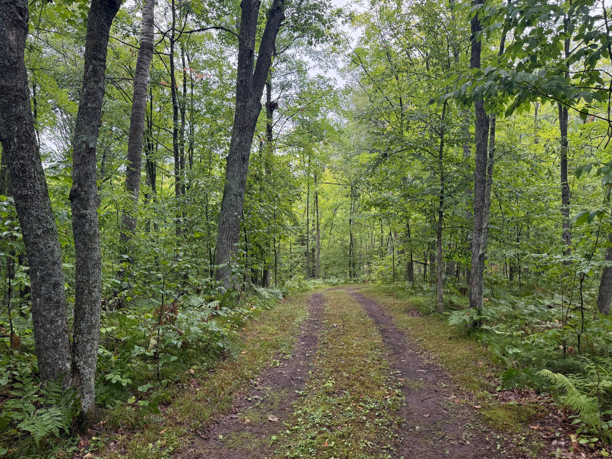 main property photo 51