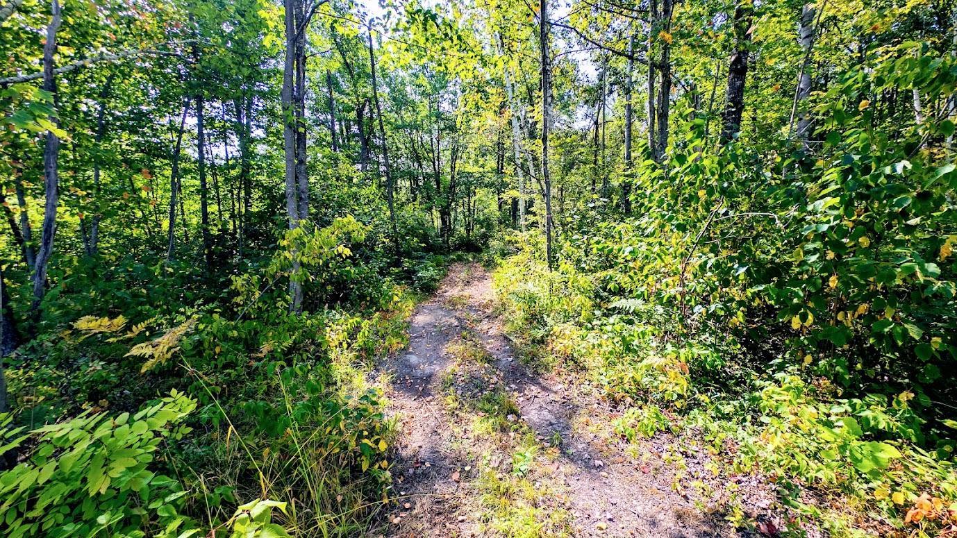 main property photo 18