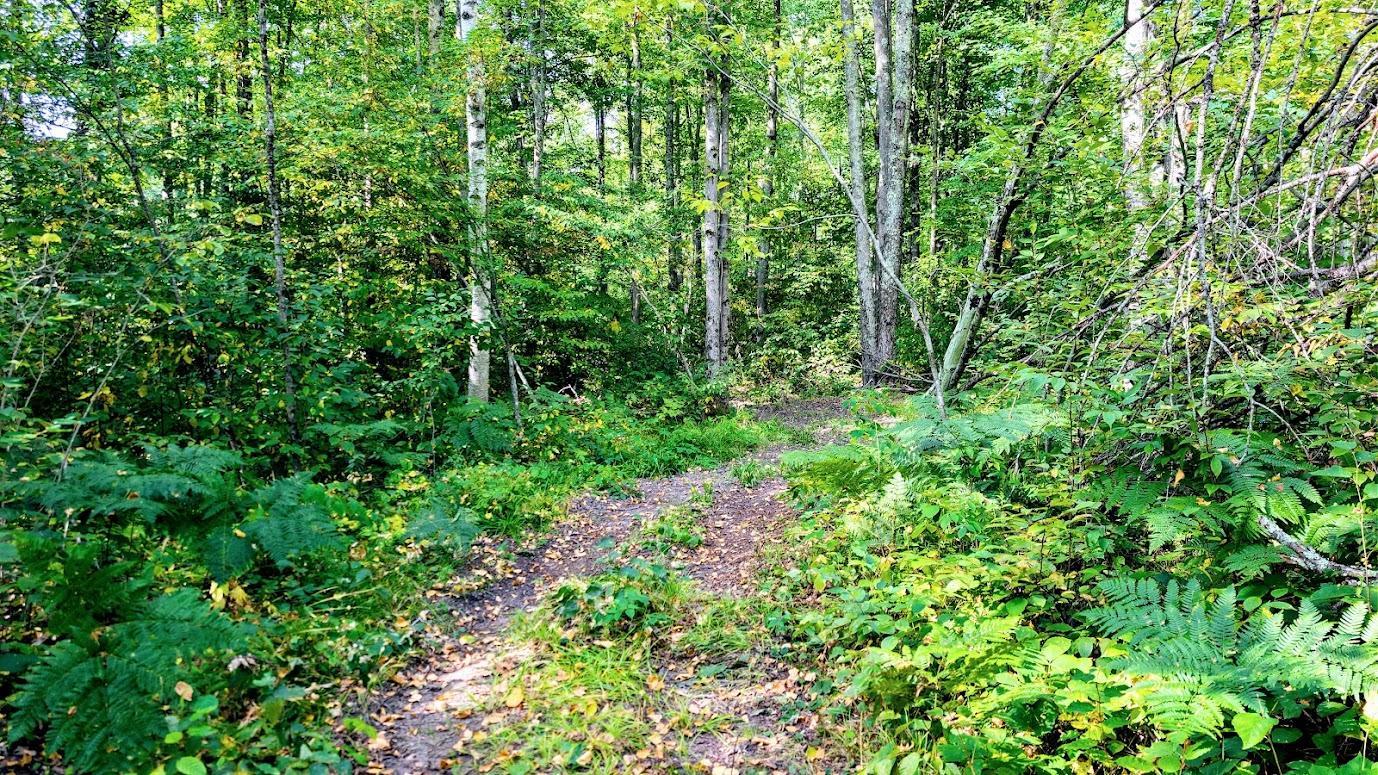 main property photo 20