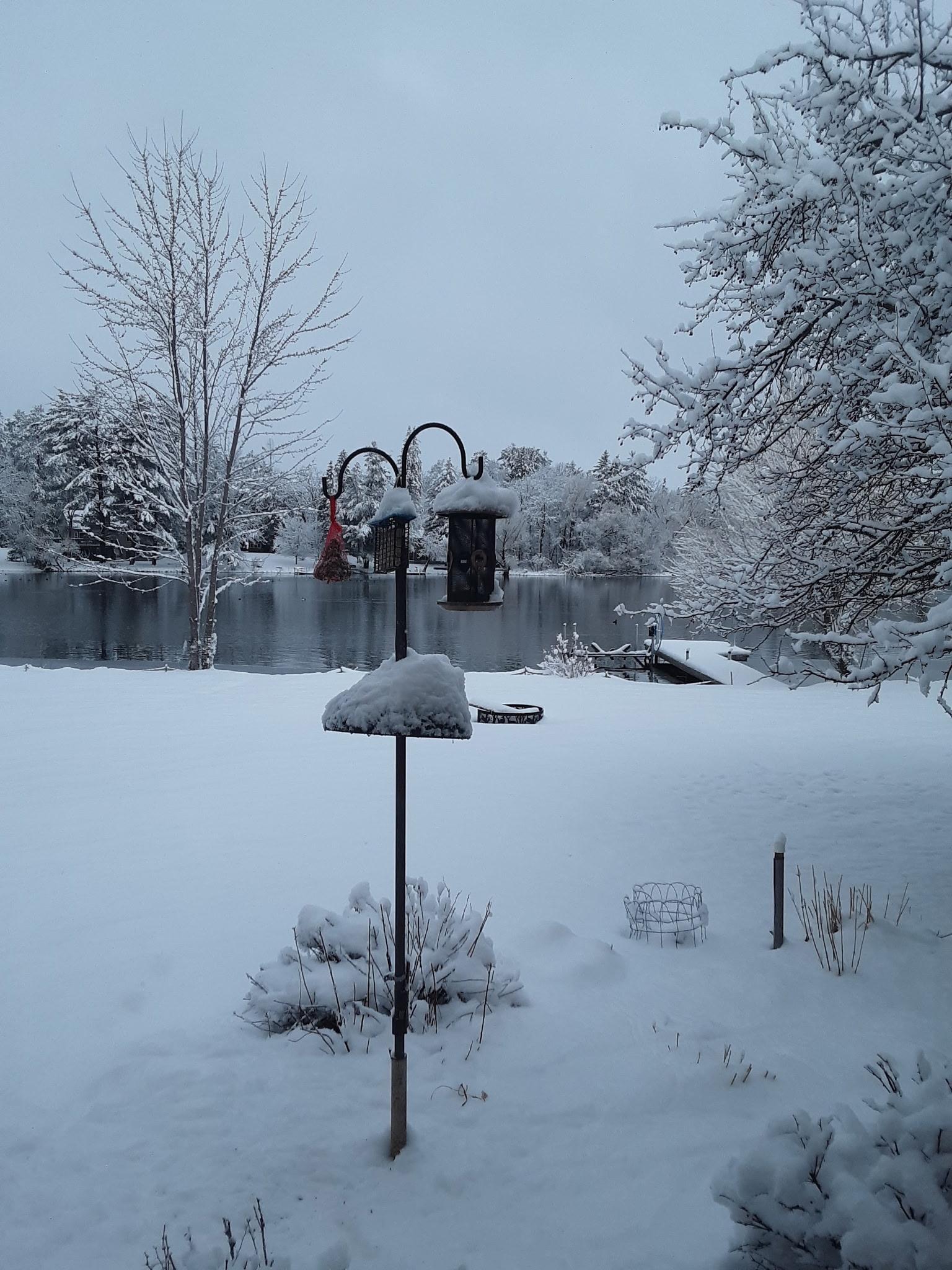 main property photo 58