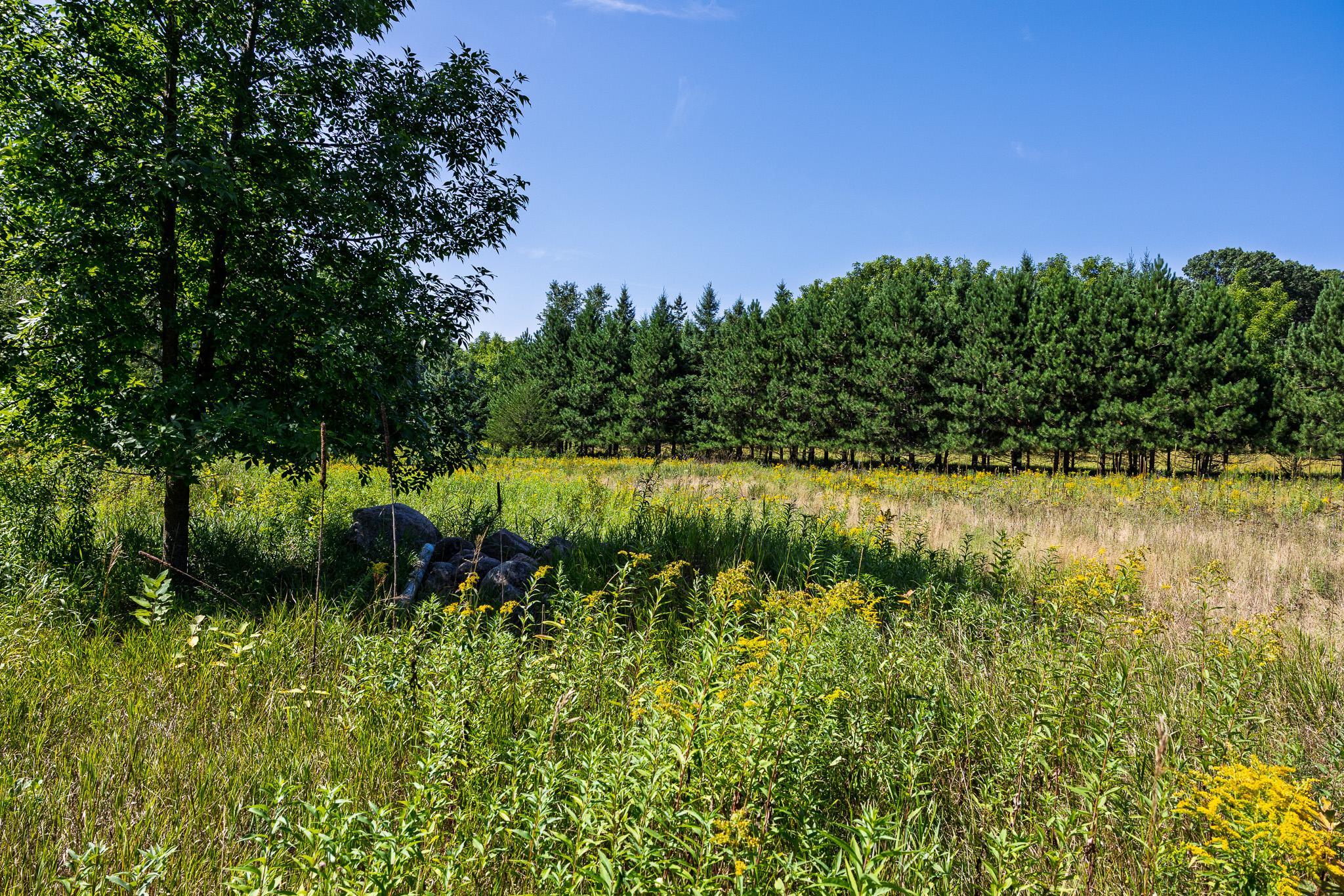 main property photo 97
