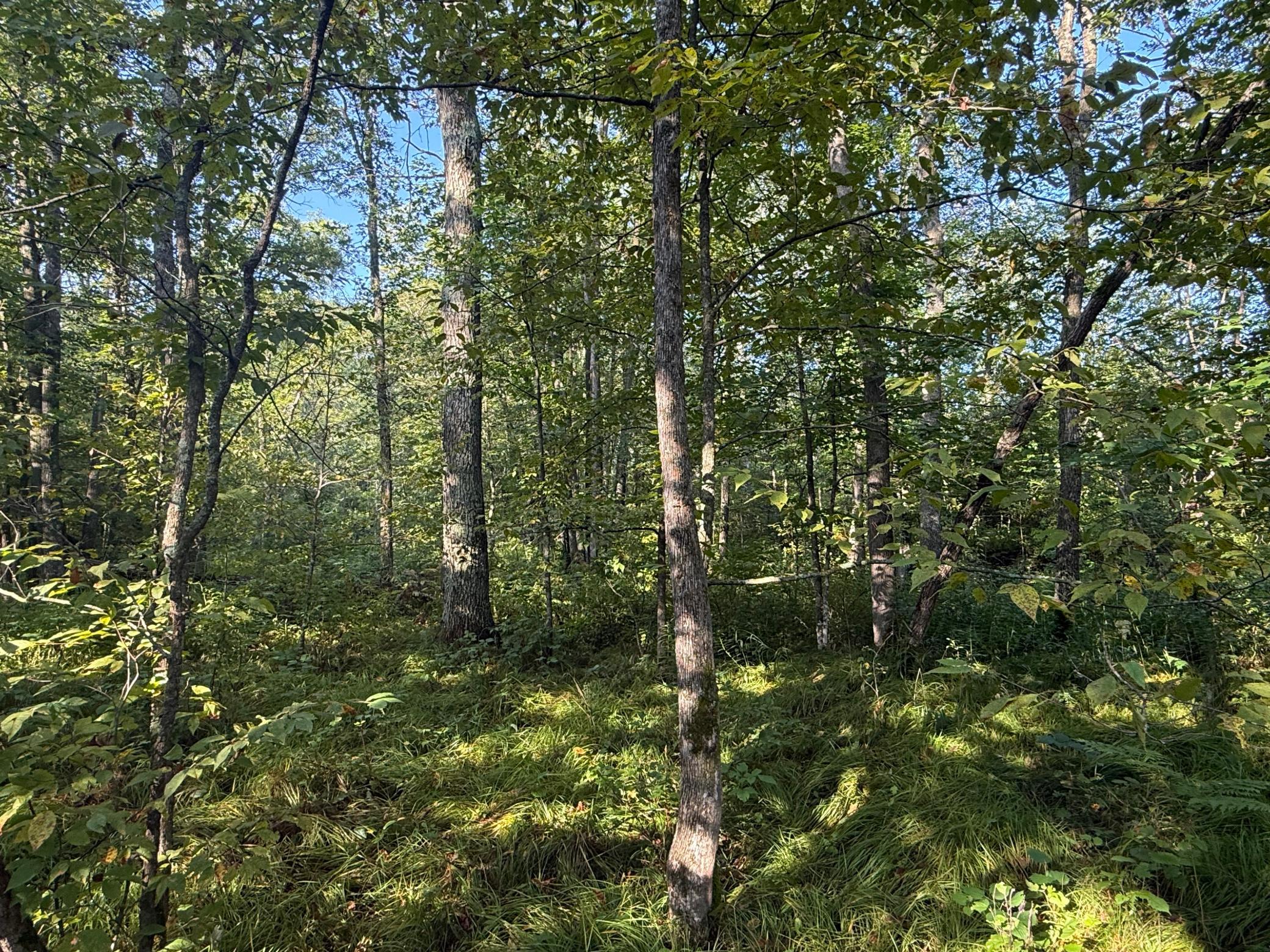 main property photo 23