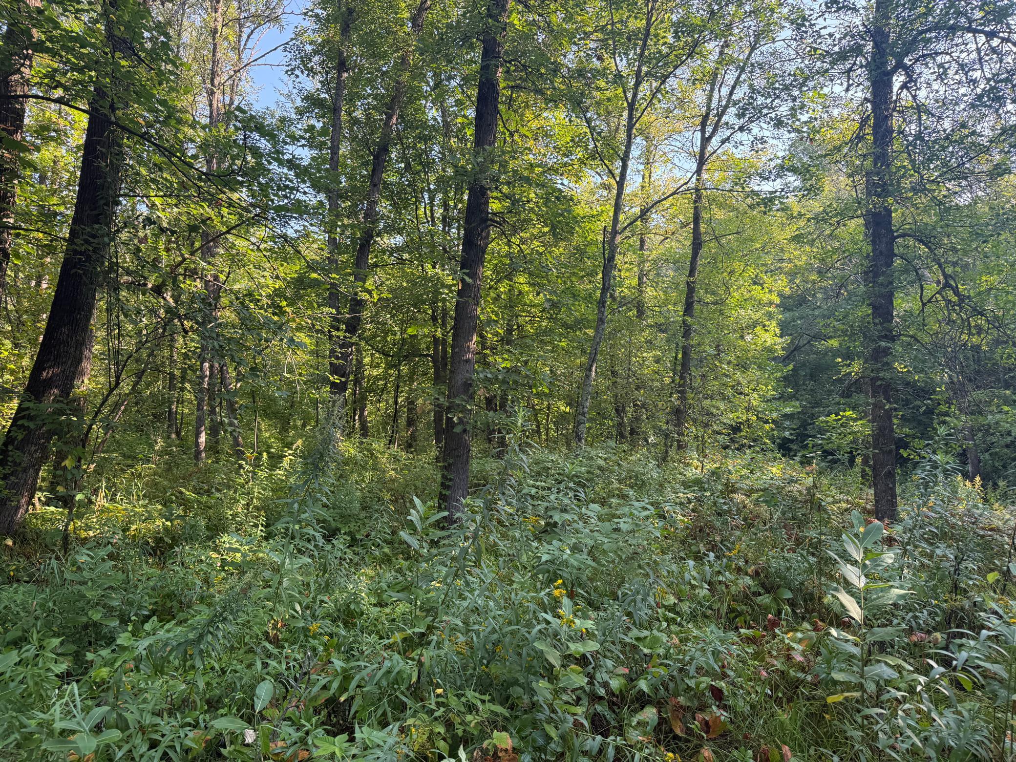 main property photo 25