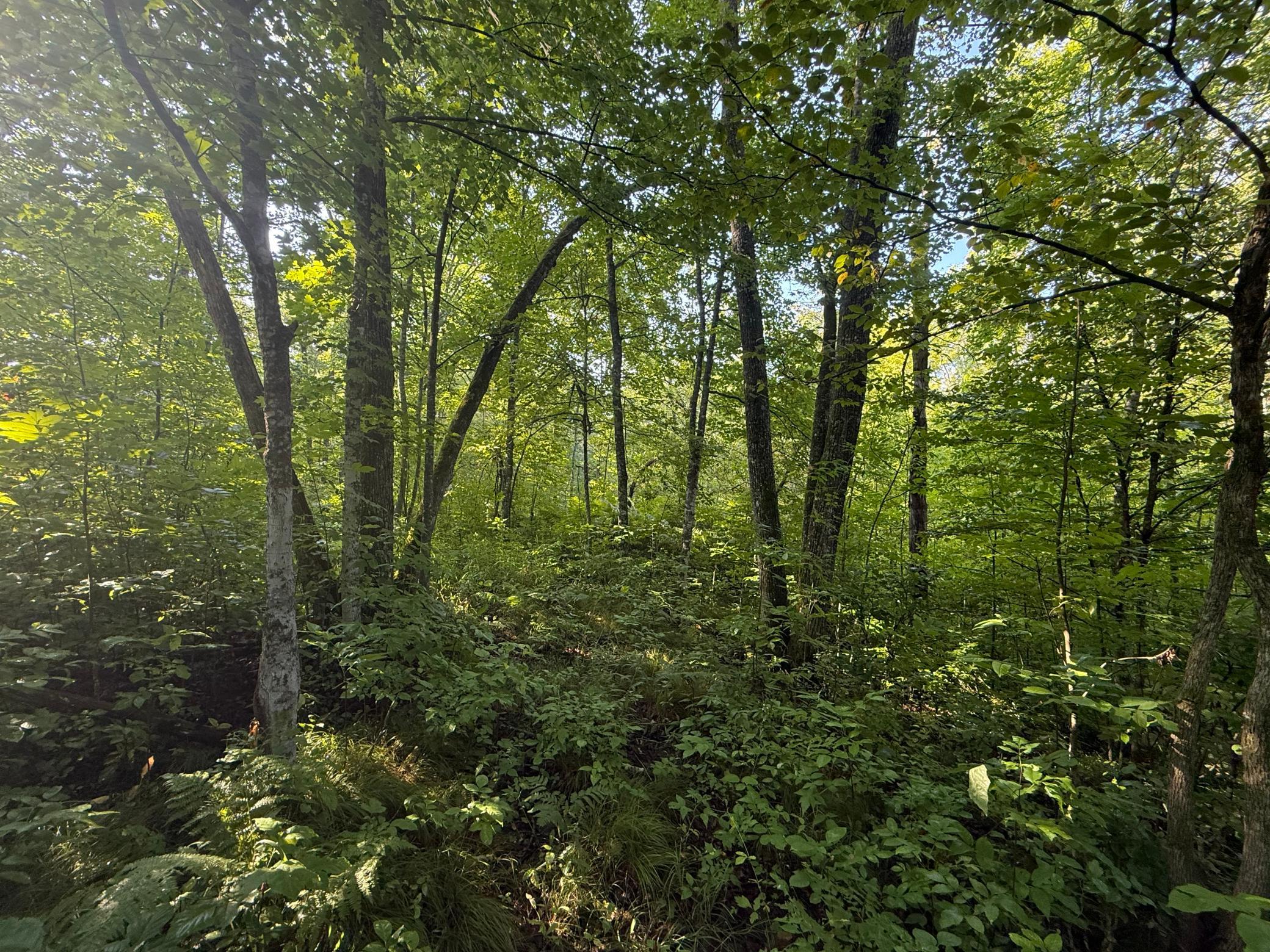 main property photo 31