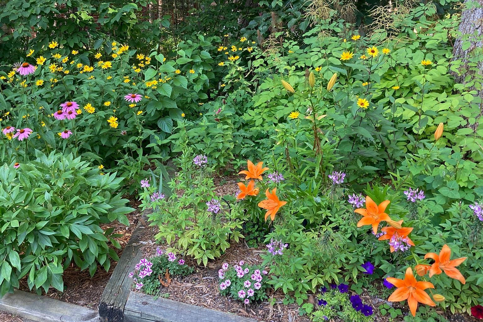 main property photo 83