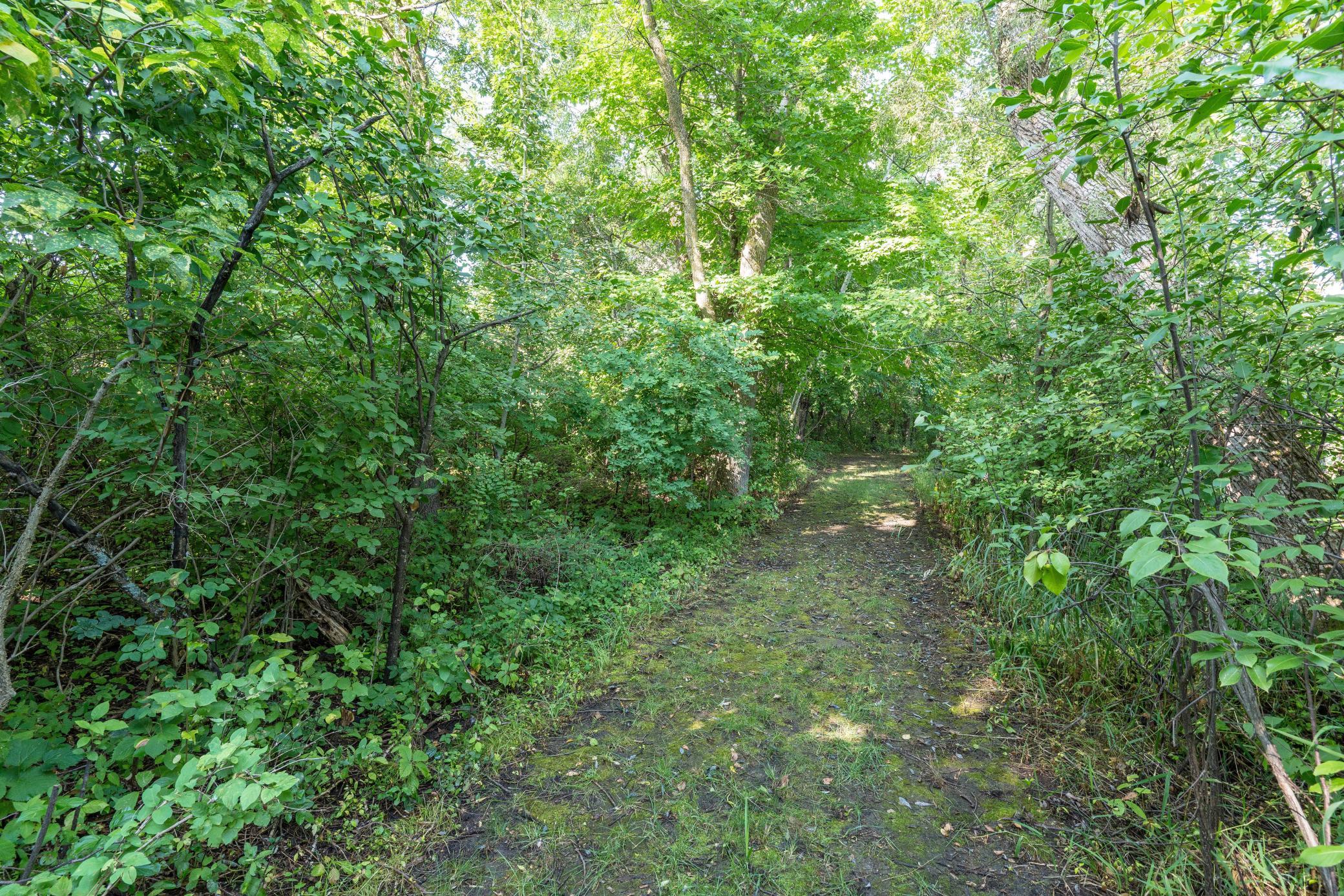 main property photo 81