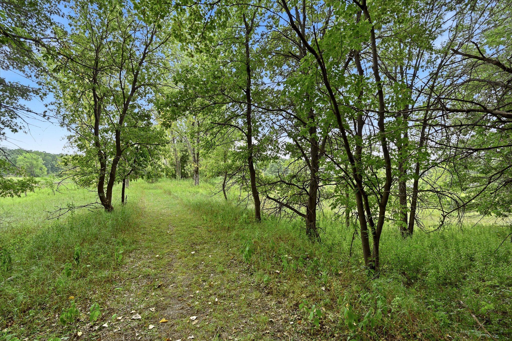 main property photo 53