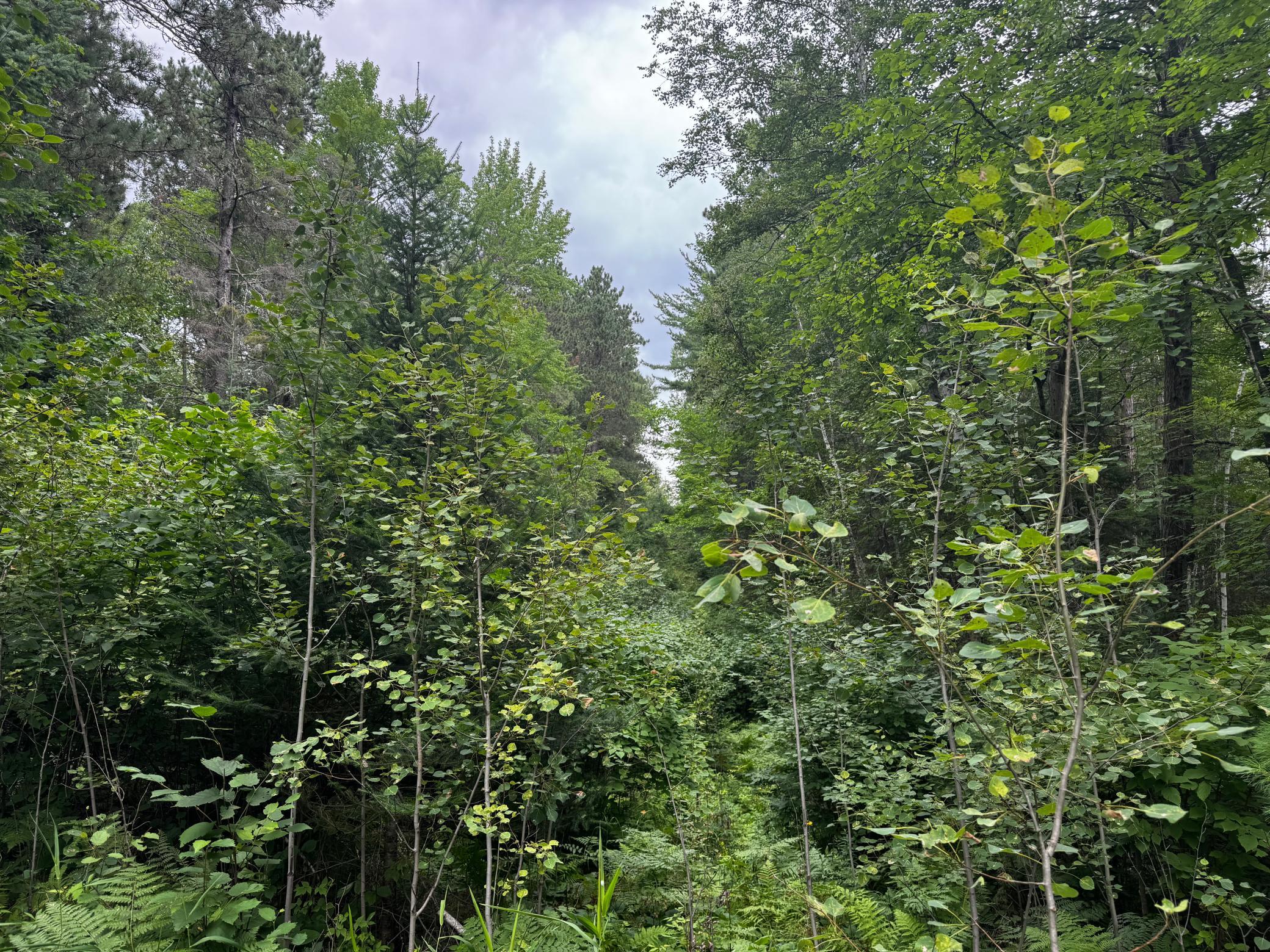 main property photo 16