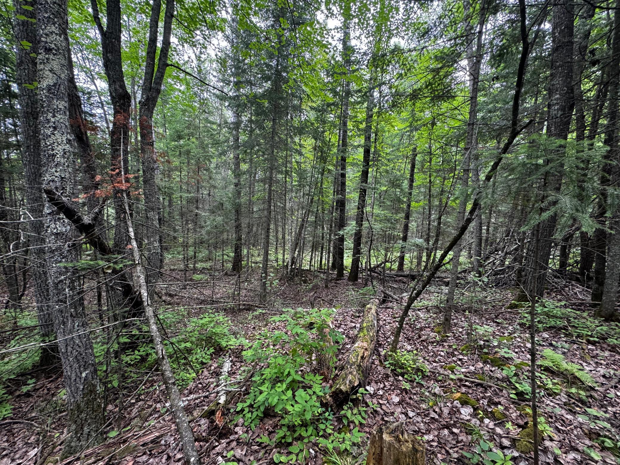 main property photo 9