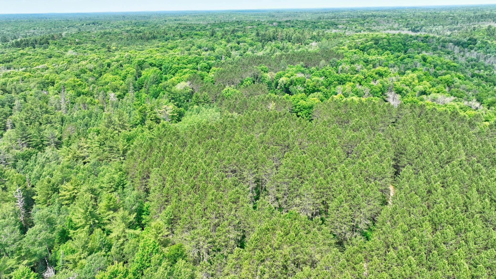 main property photo 66