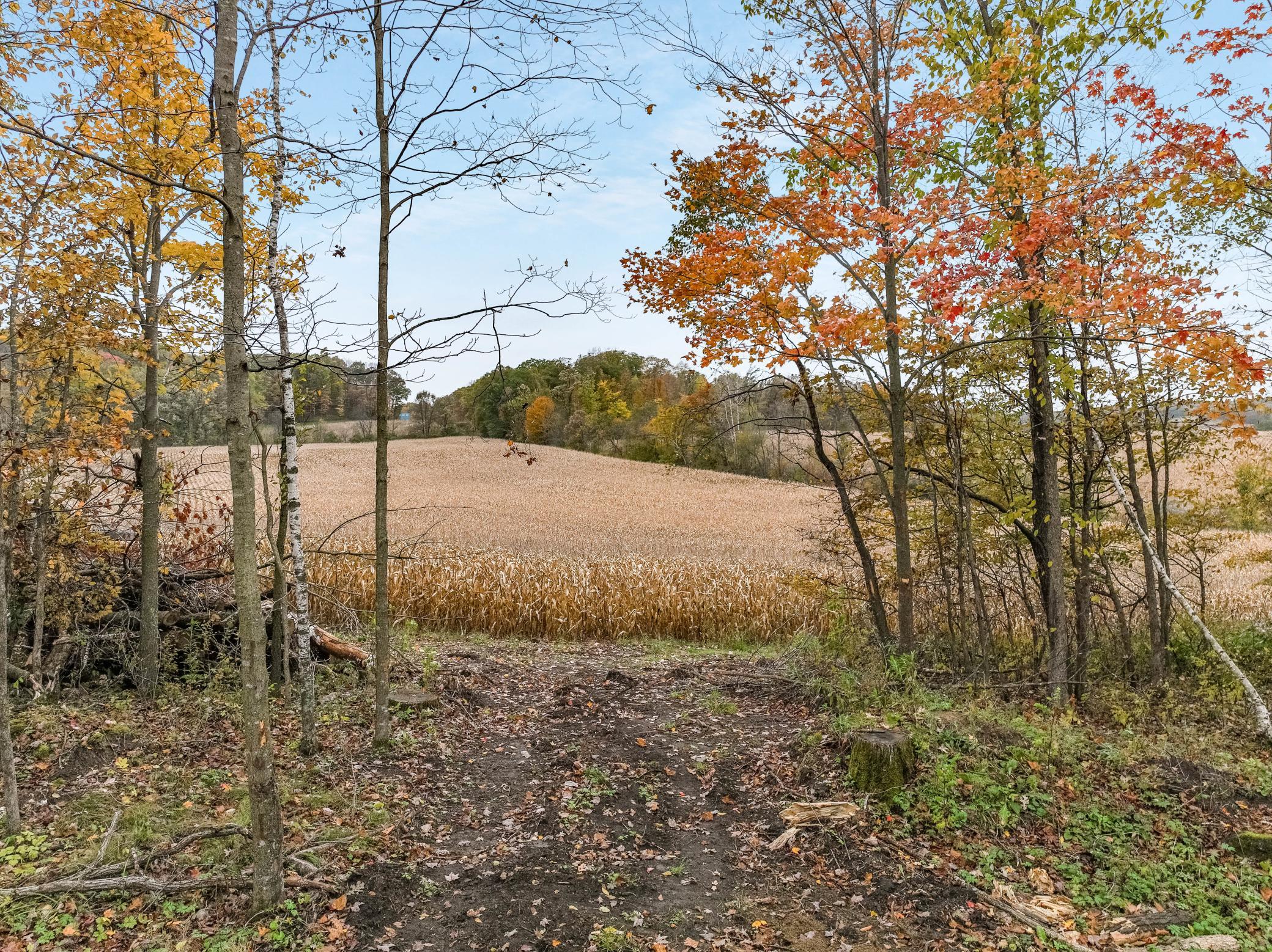 main property photo 21