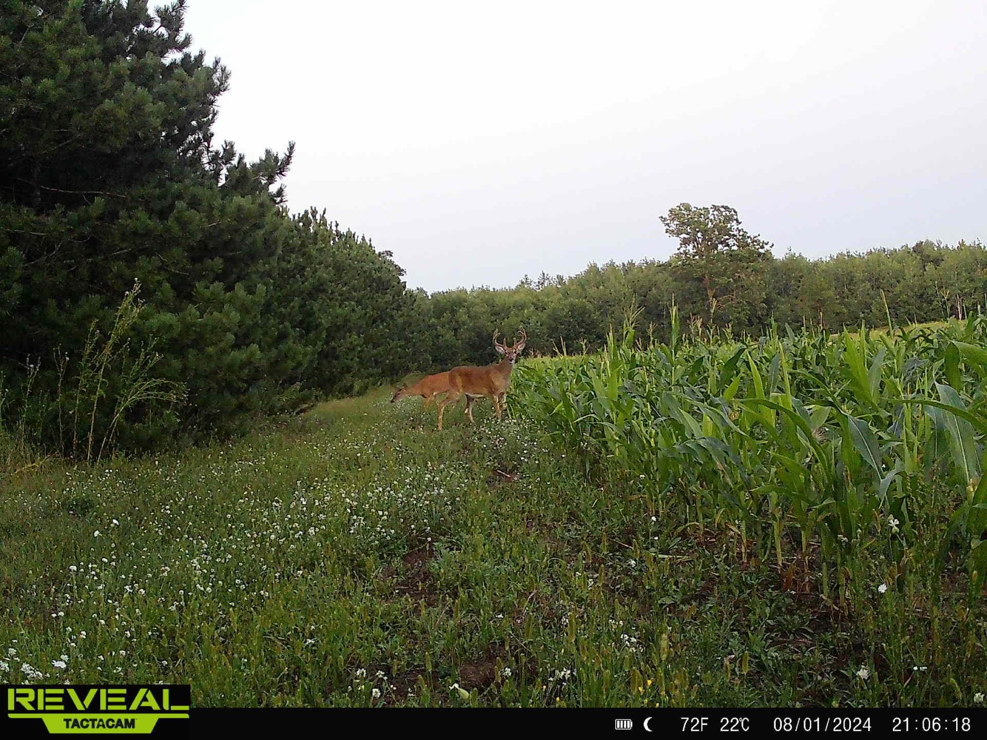 main property photo 7