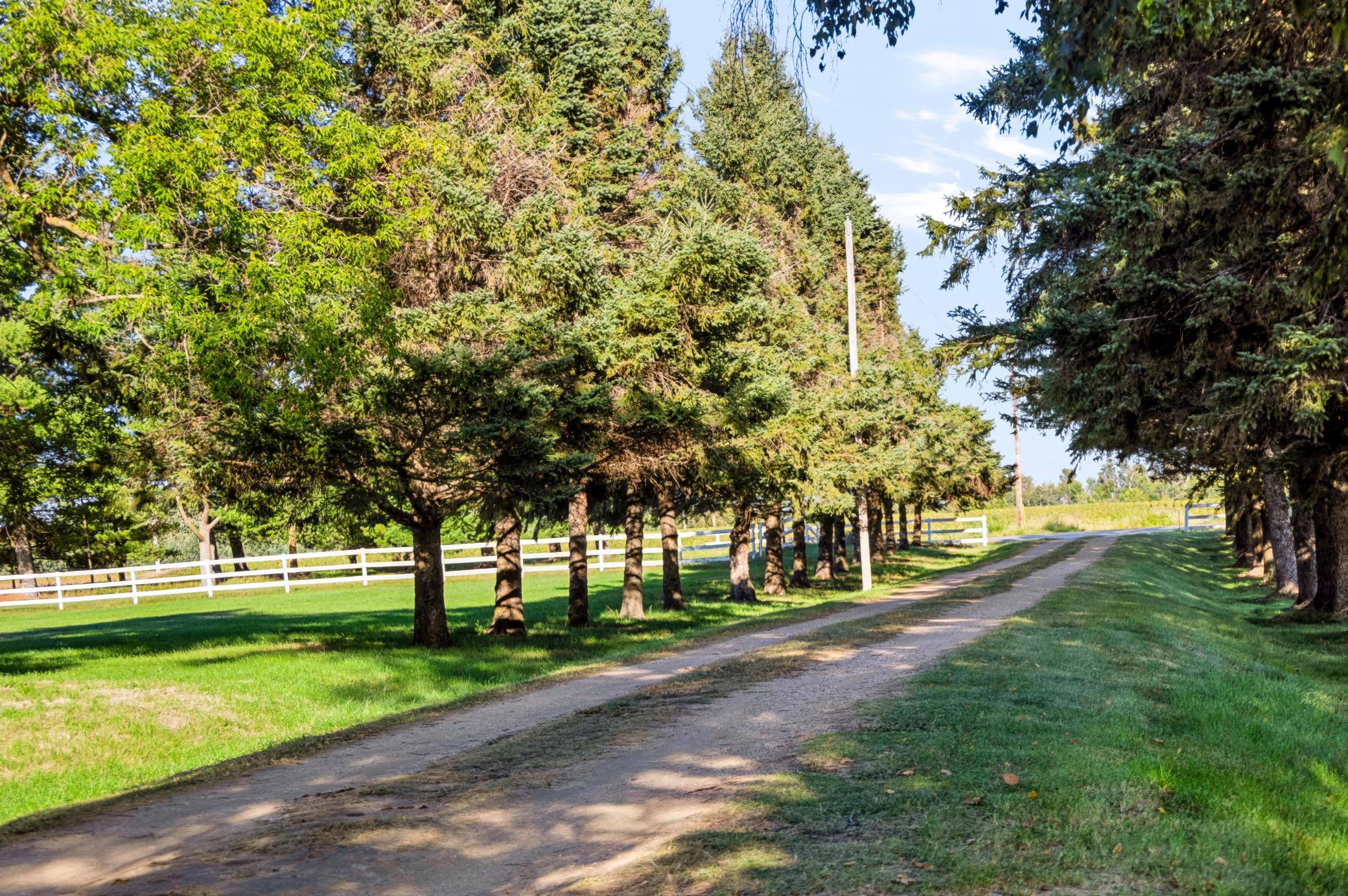 main property photo 74