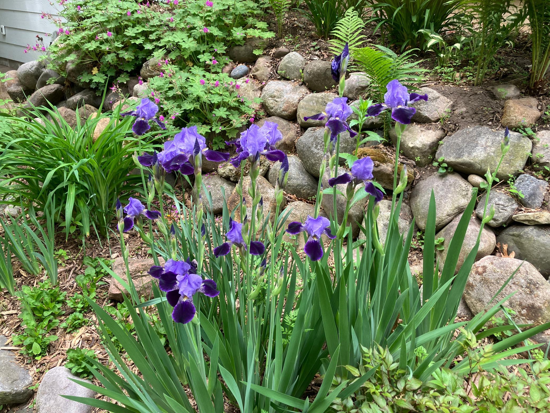 main property photo 72