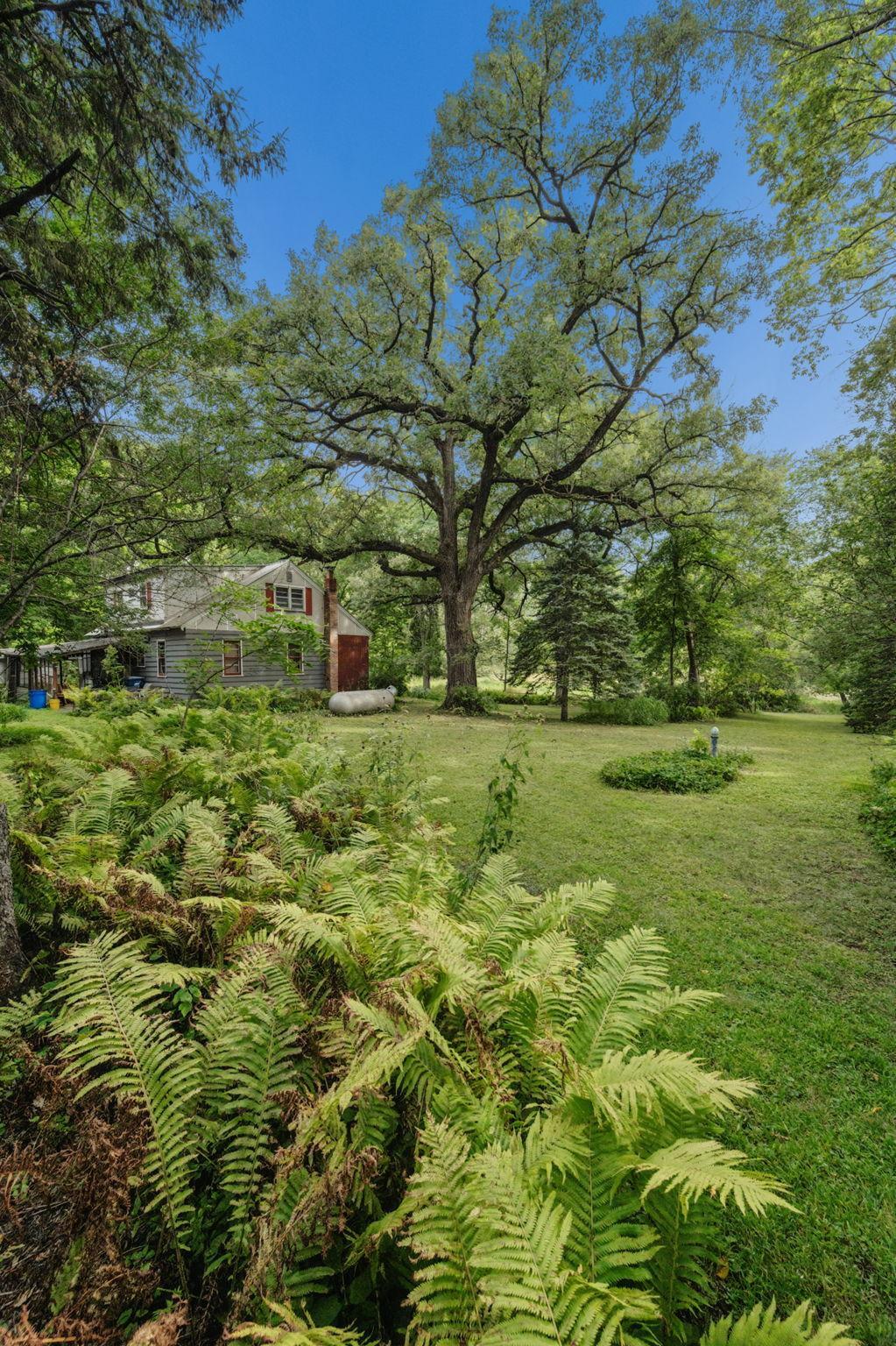 main property photo 35