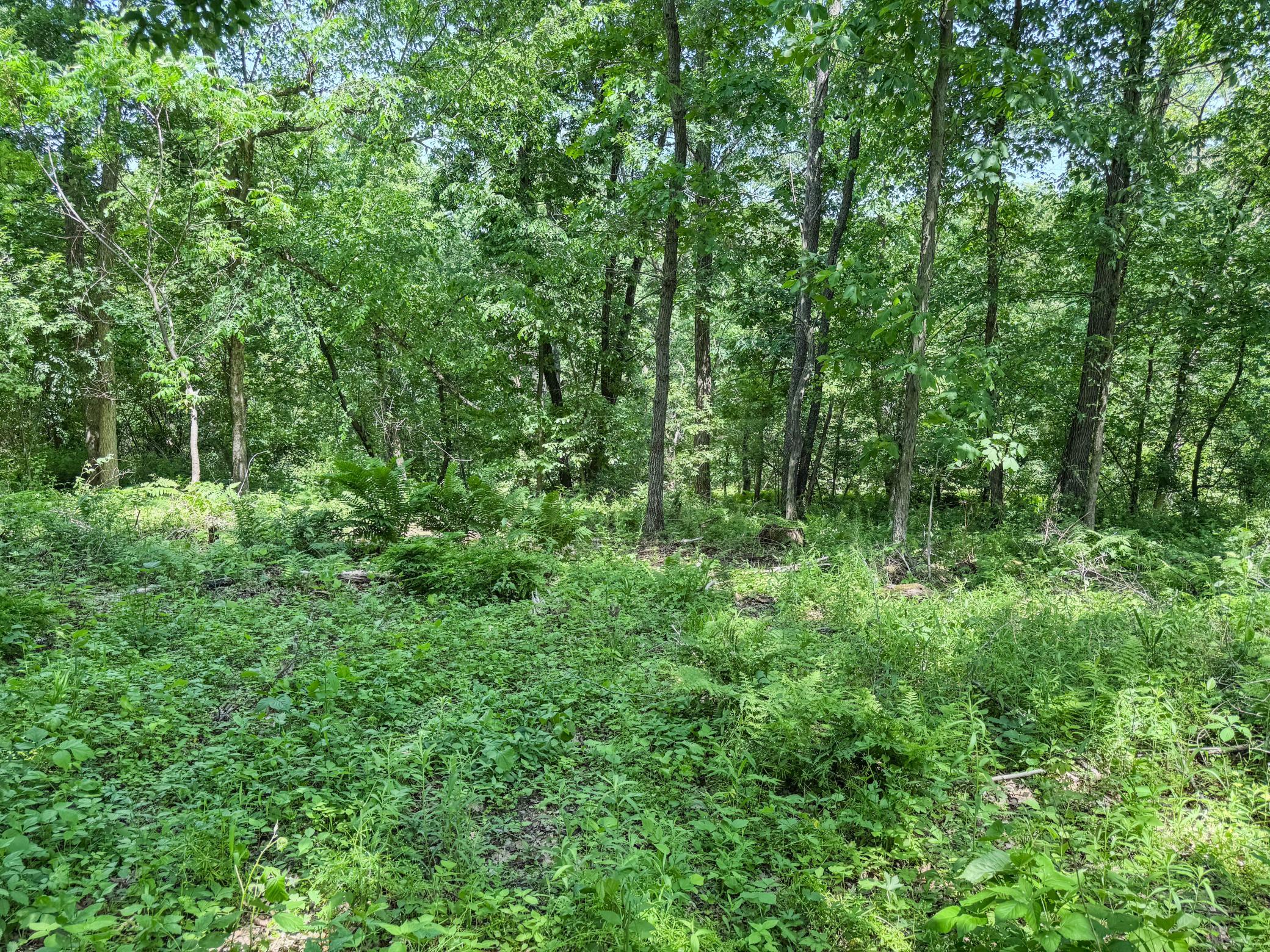 main property photo 29