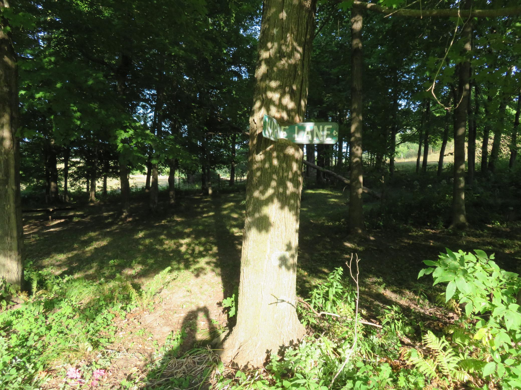 main property photo 115